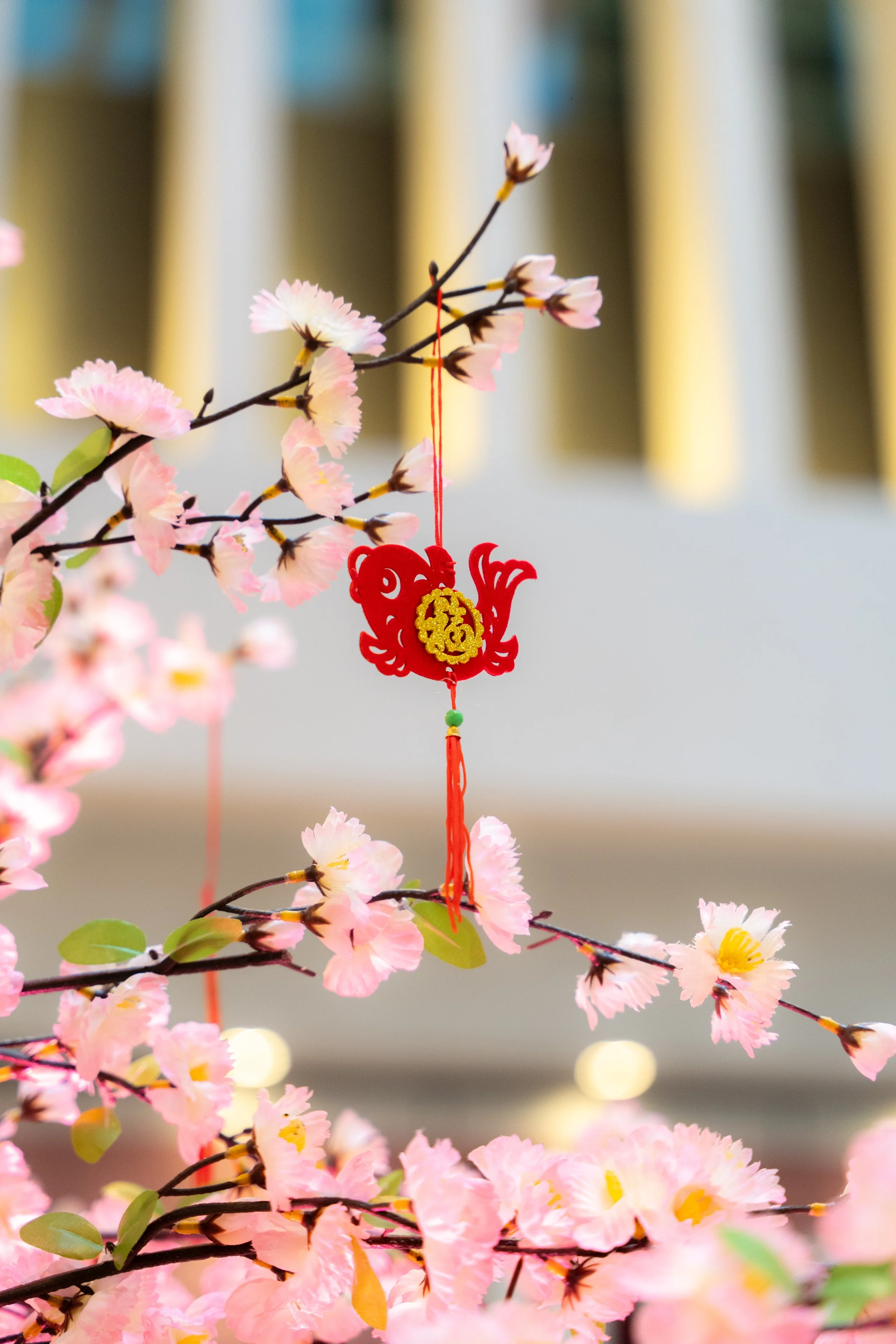 Mailbox Lunar New Year Photos-12.jpg