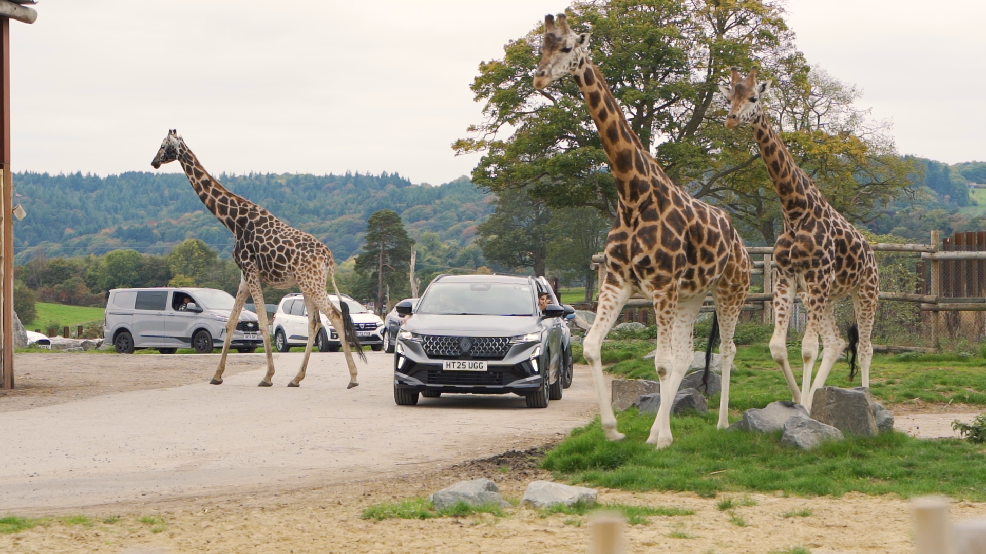 Still 2025-11-03 115124_1.101.1.png