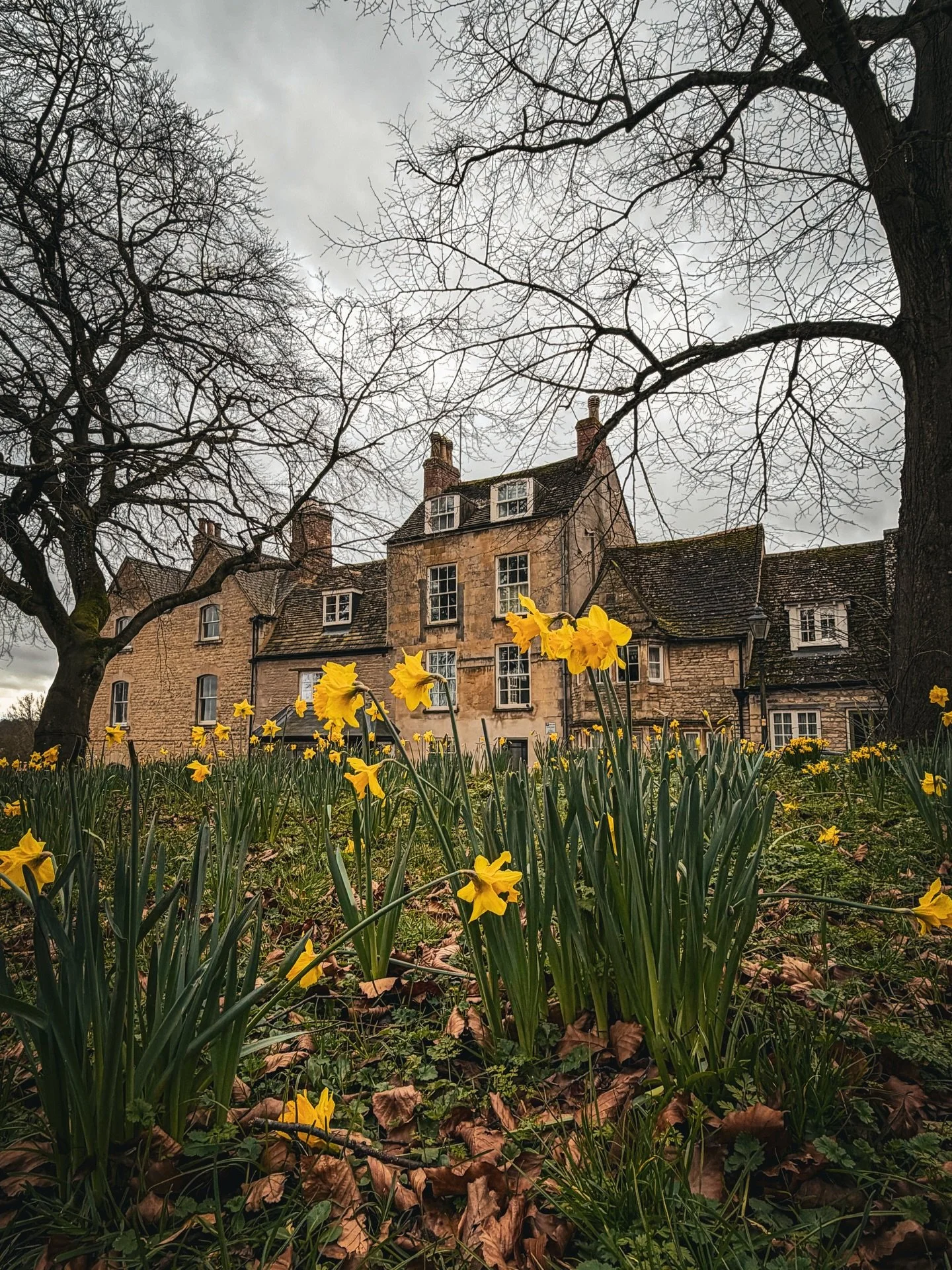 Certainly signs of Spring in Stamford this Sunday. I had a nice gentle wander about this gorgeous town and sat out and enjoyed a tea and a spot of people watching. The church bells were ringing, cafes and shops were busy with visitors and locals enjo