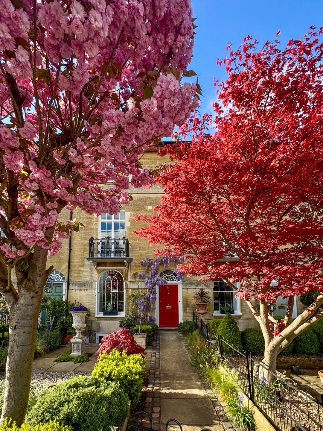 I strolled by Rutland Terrace this evening and it brought back memories of last April's blossom. Can't wait to see it again this year and witness nature's beauty alongside the stunning Regency houses.

-
#stamford #historicarchitecture #history