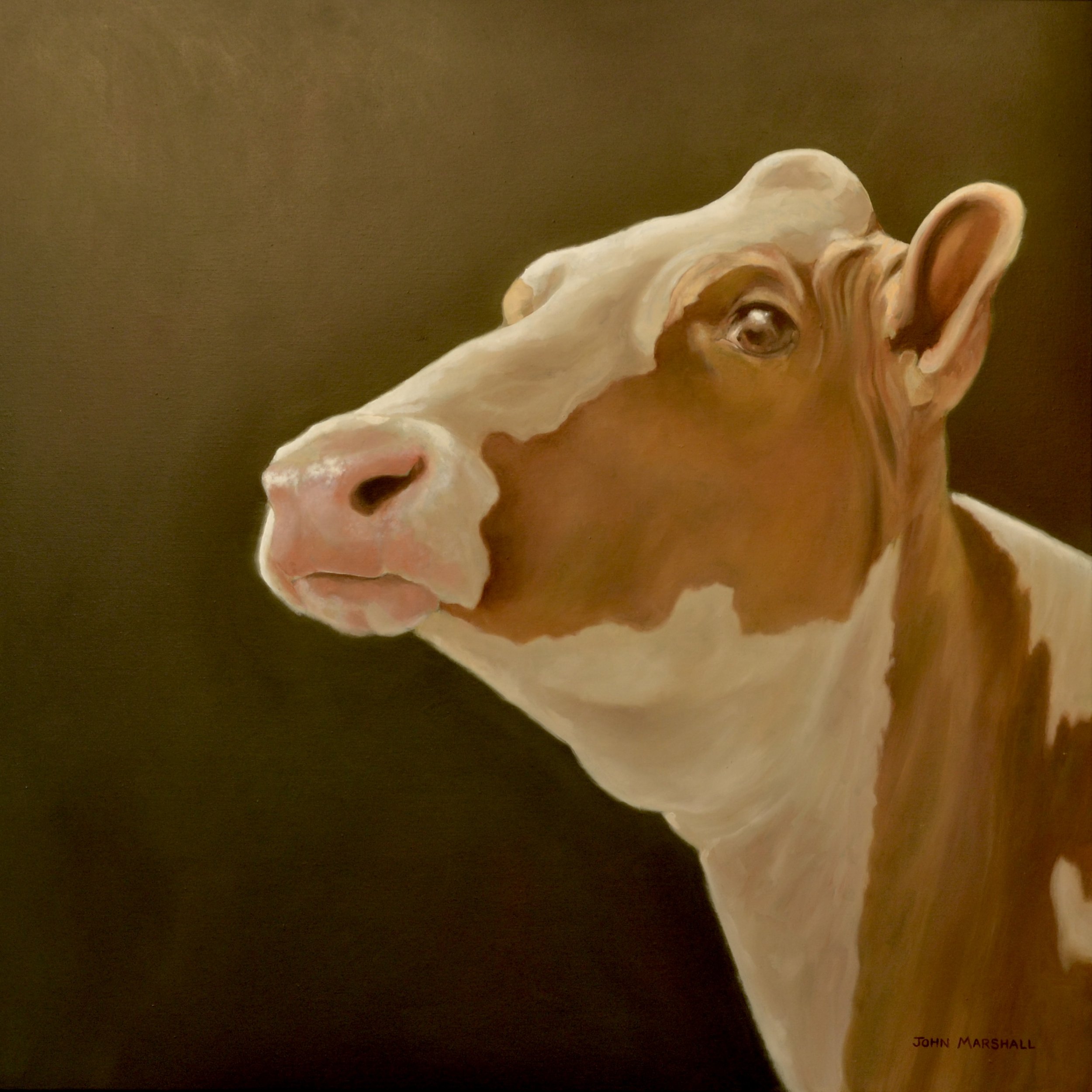 ‘Stan’ Oil on Canvas 100 x 100cm
