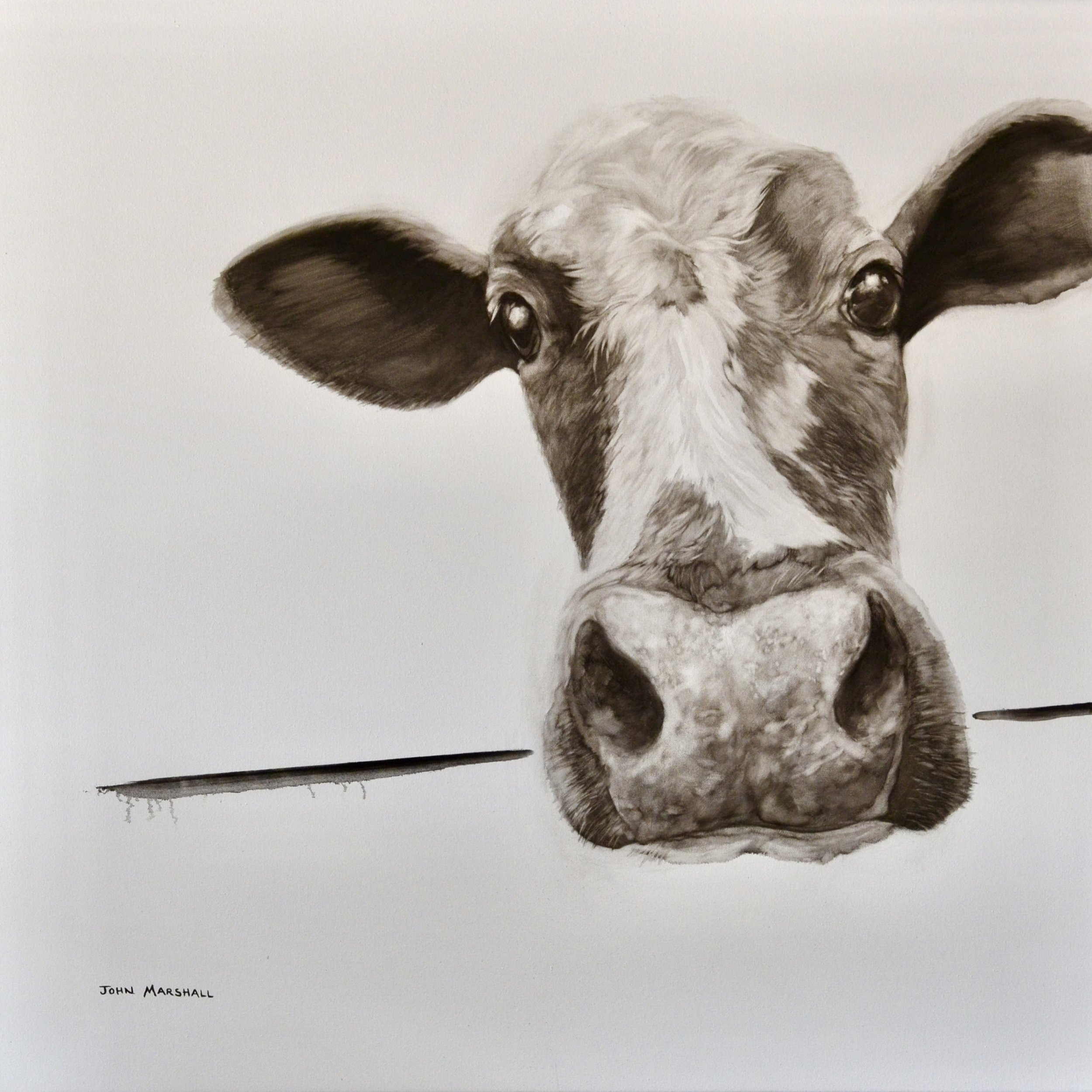 ‘Poop’ Oil on Canvas 100 x 100cm