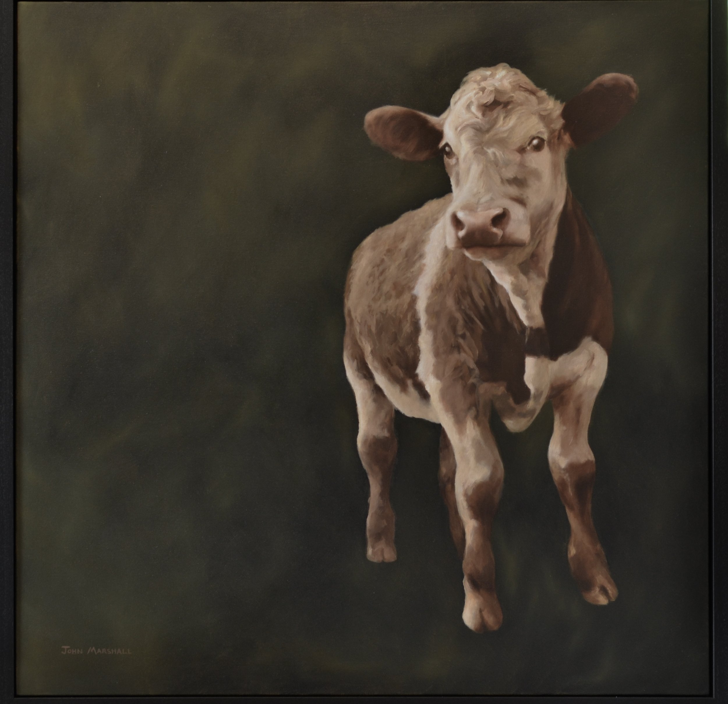 ‘Harry’ Oil on canvas 100 x 100cm SOLD