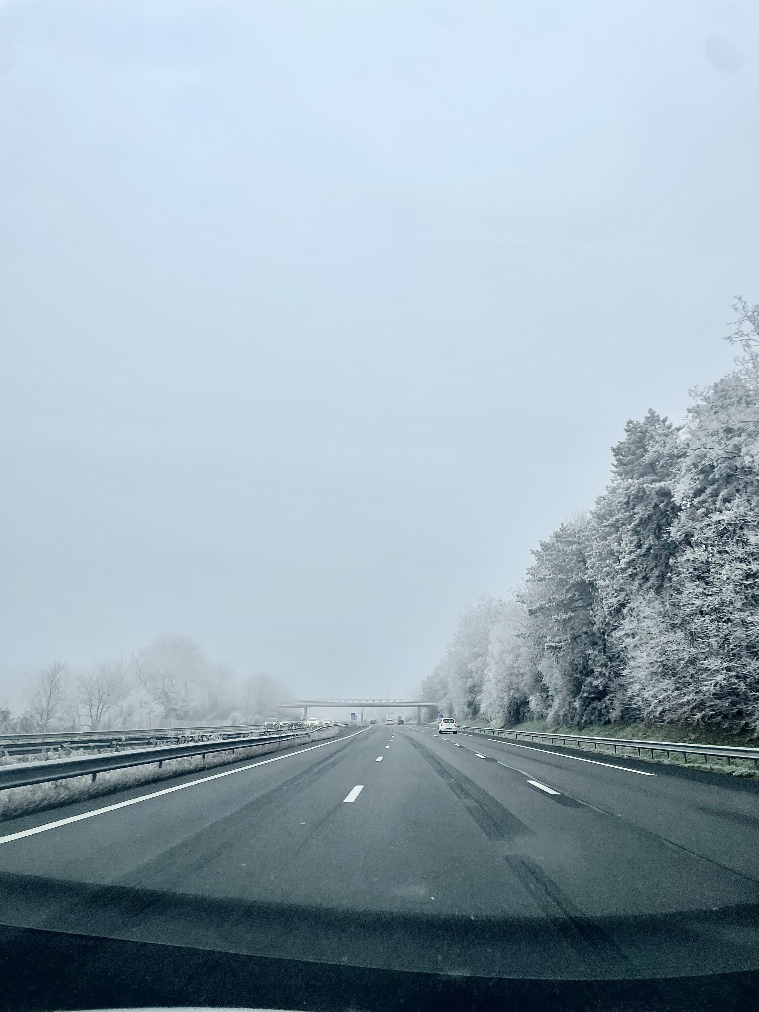 Motorway view from the dashboard with trees encrusted in frost either side of the route
