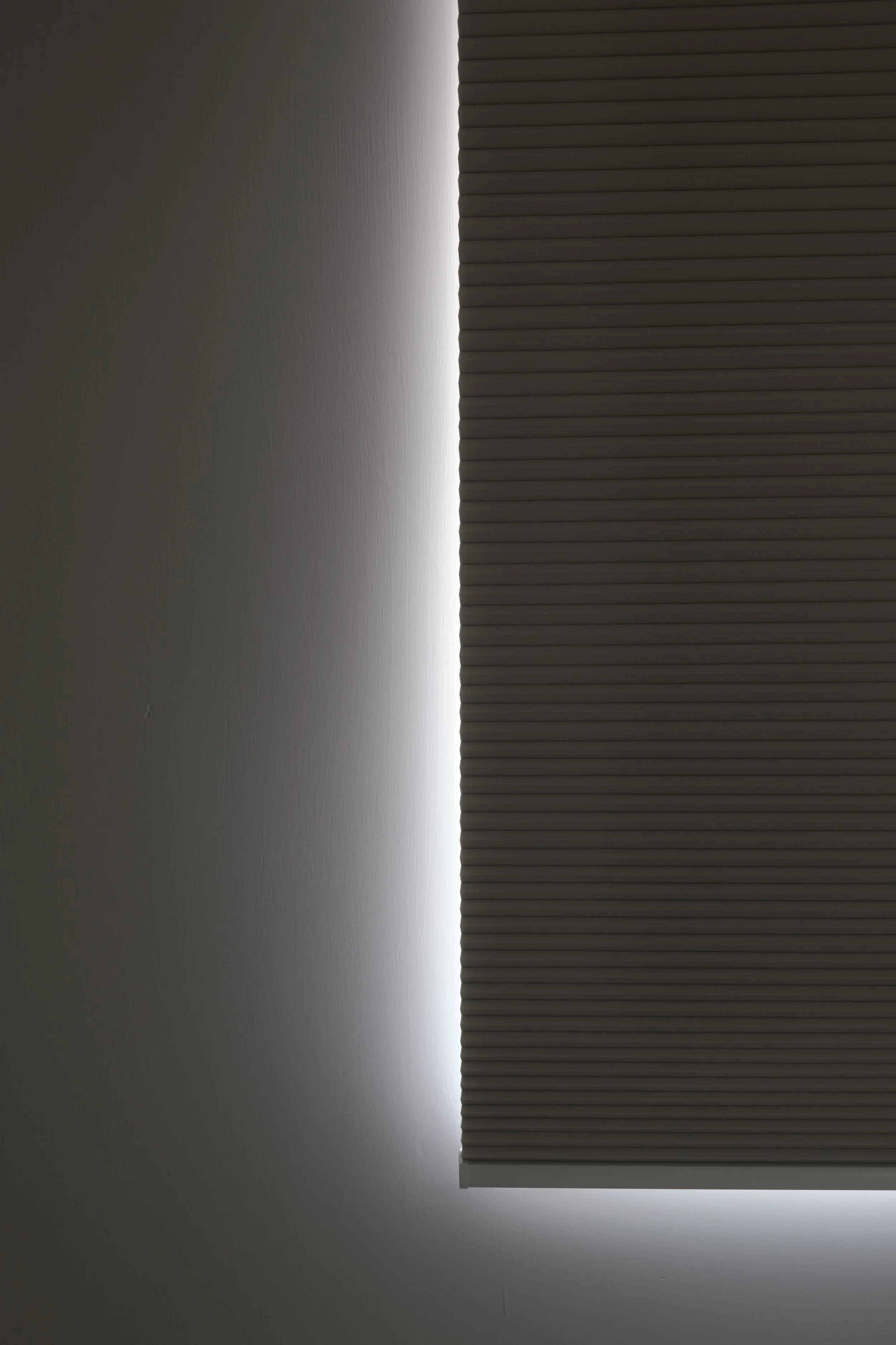 DSCF3461.jpg