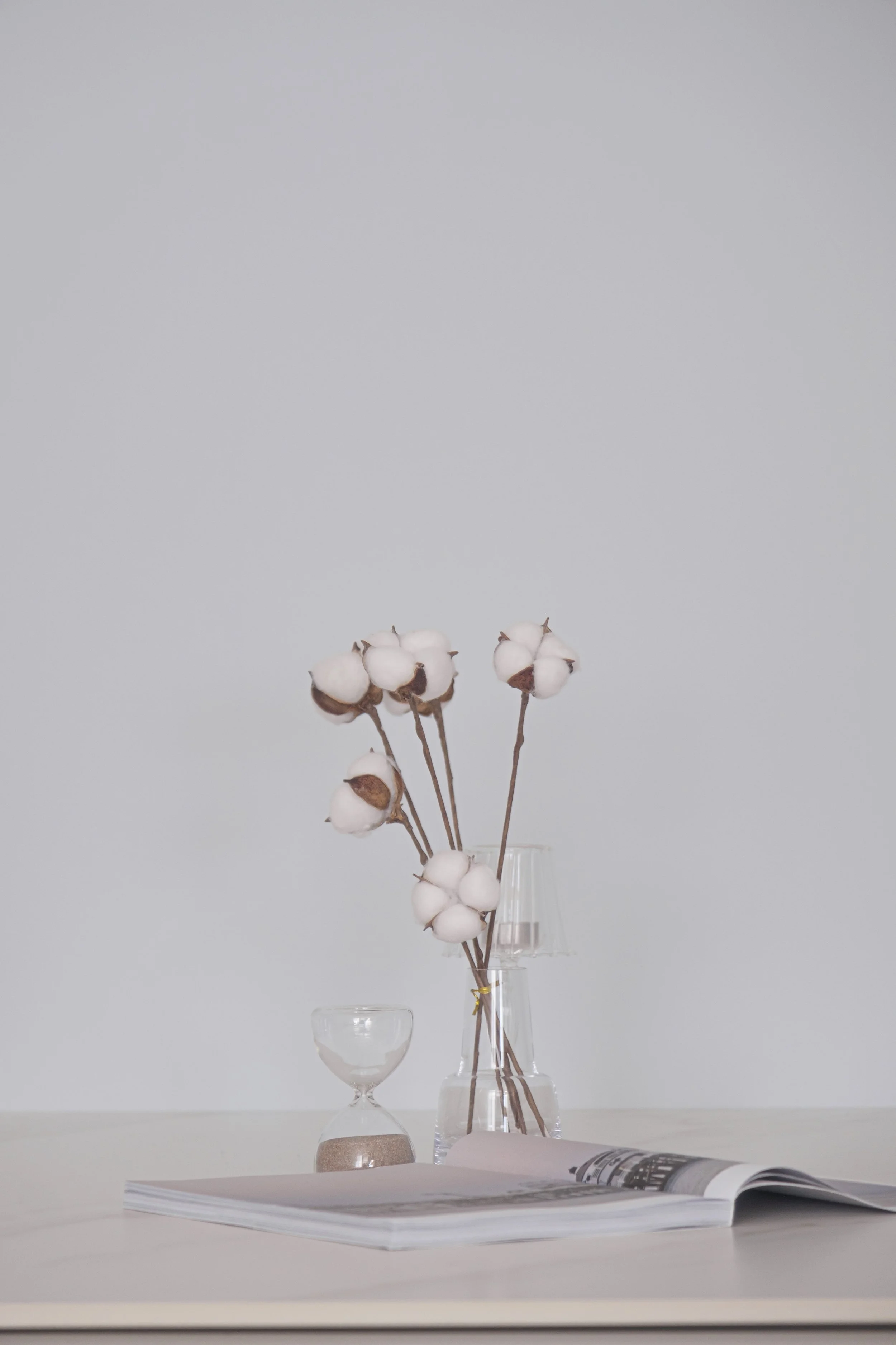 DSCF3513.jpg