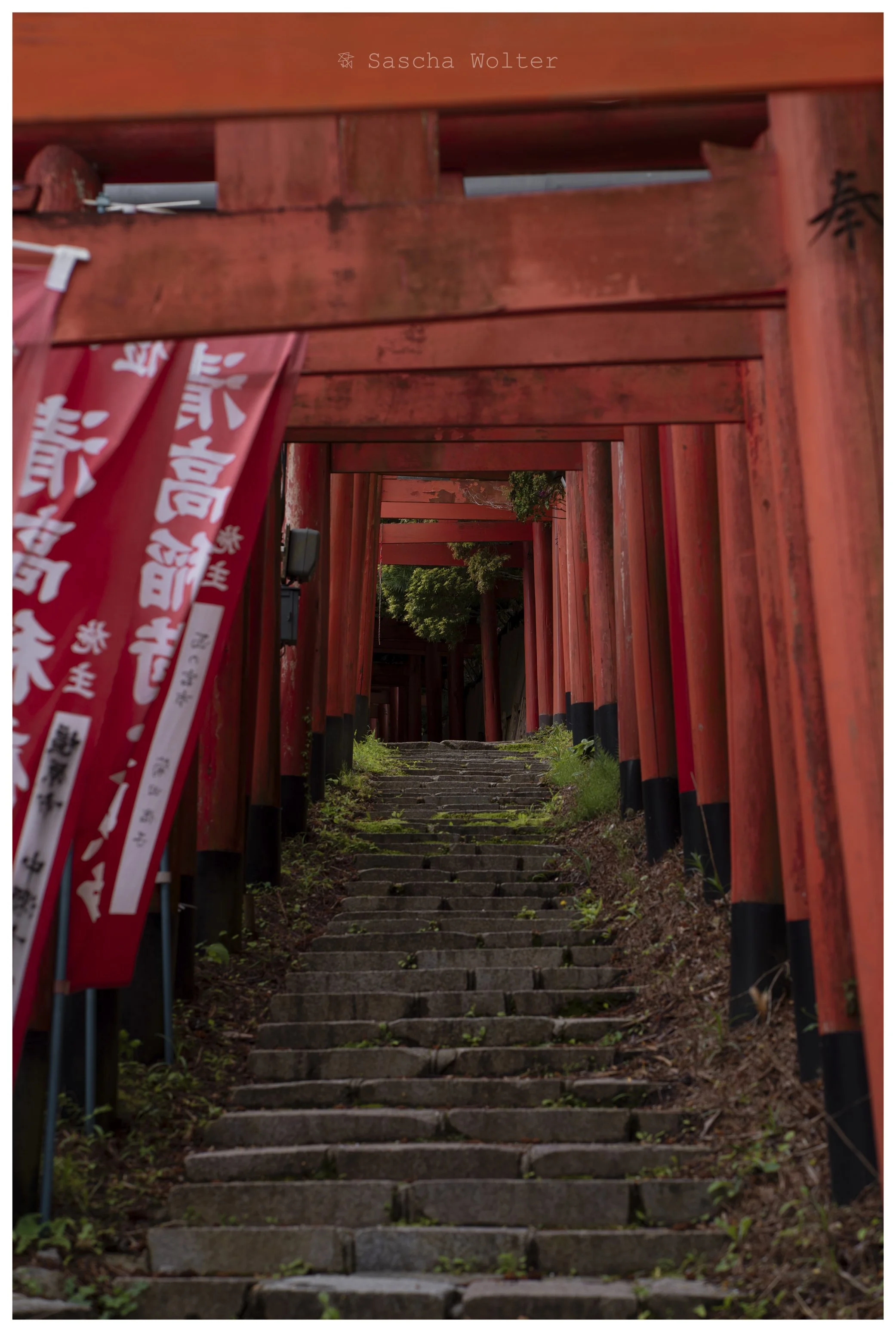 red gates.jpg