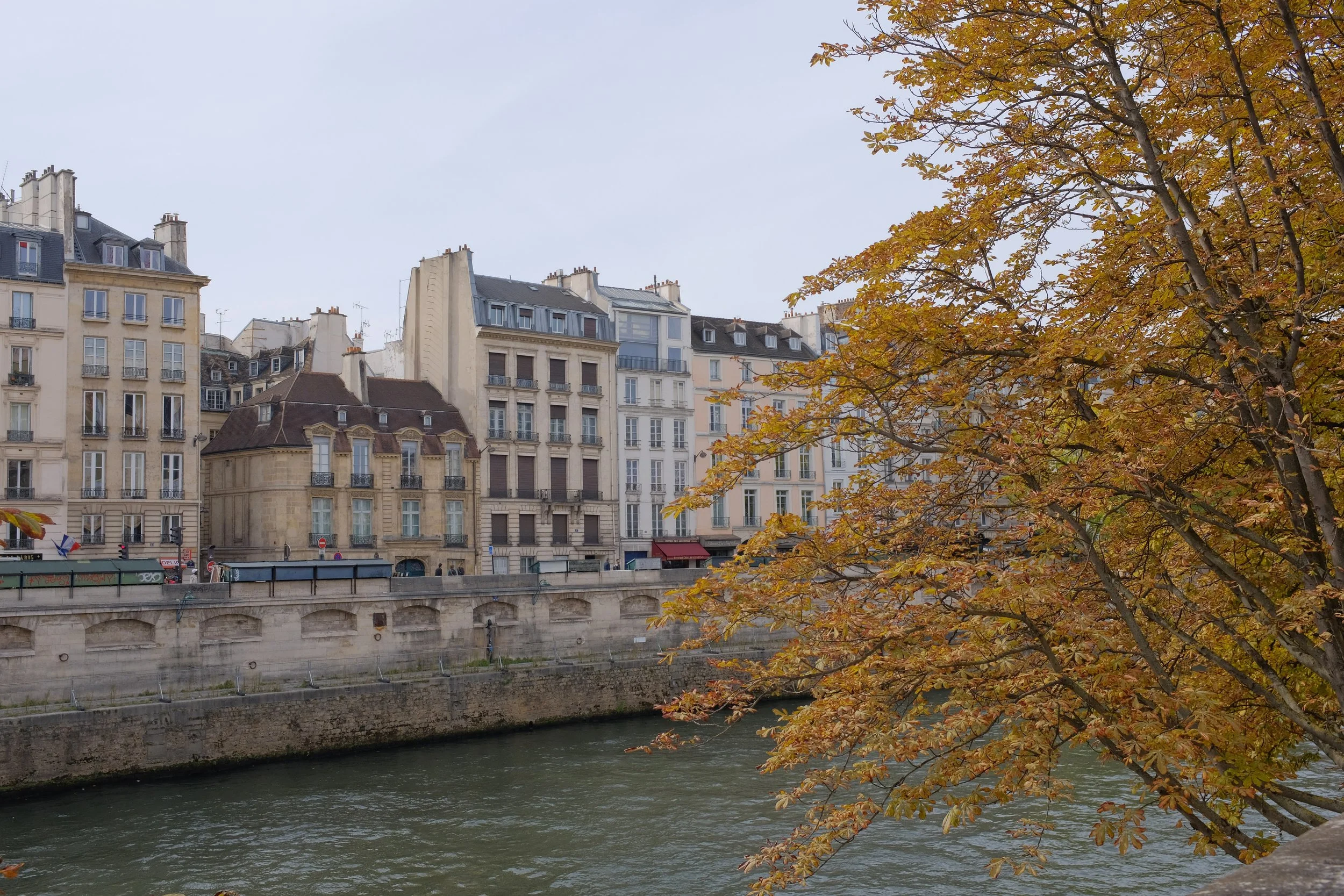 Autumn Along the Seine