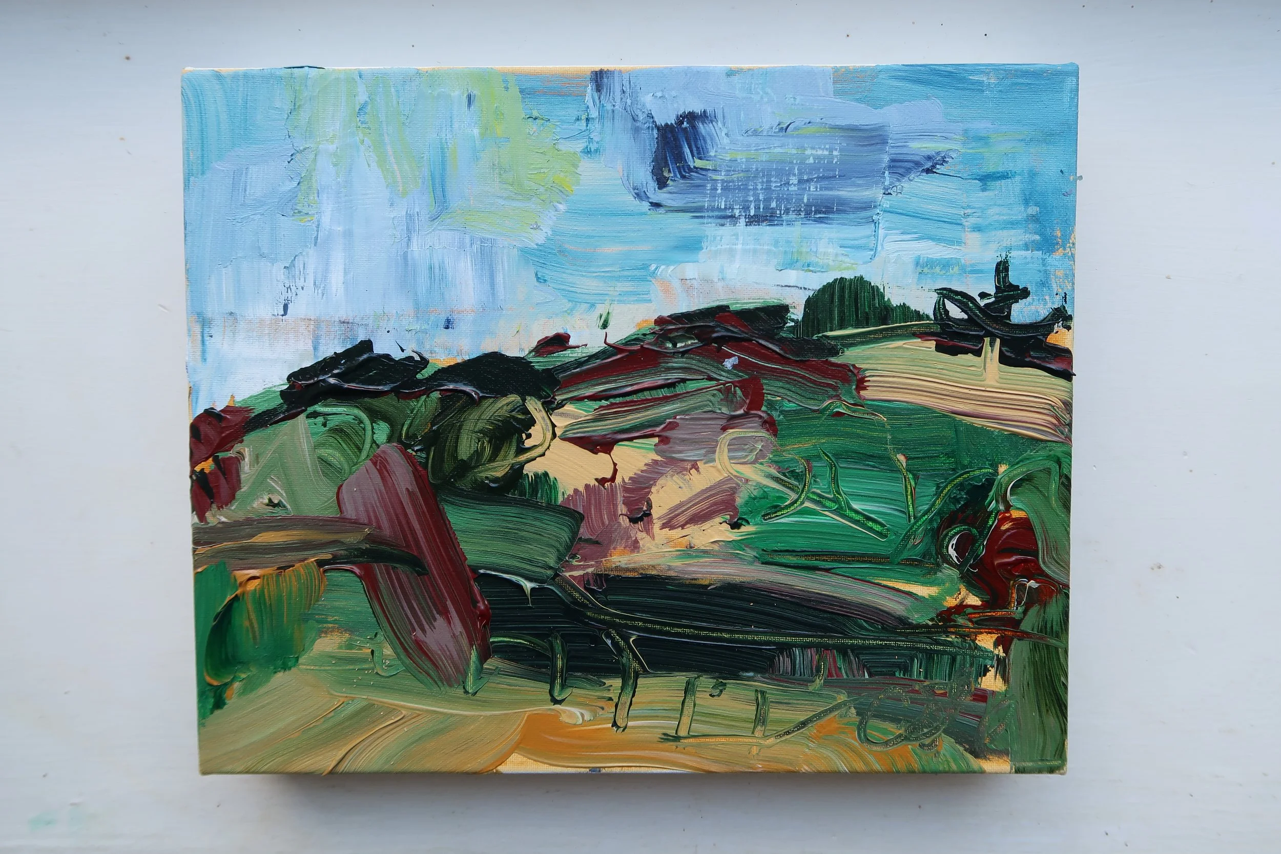 Becky cole artist northern irish landscape painter 1.JPG