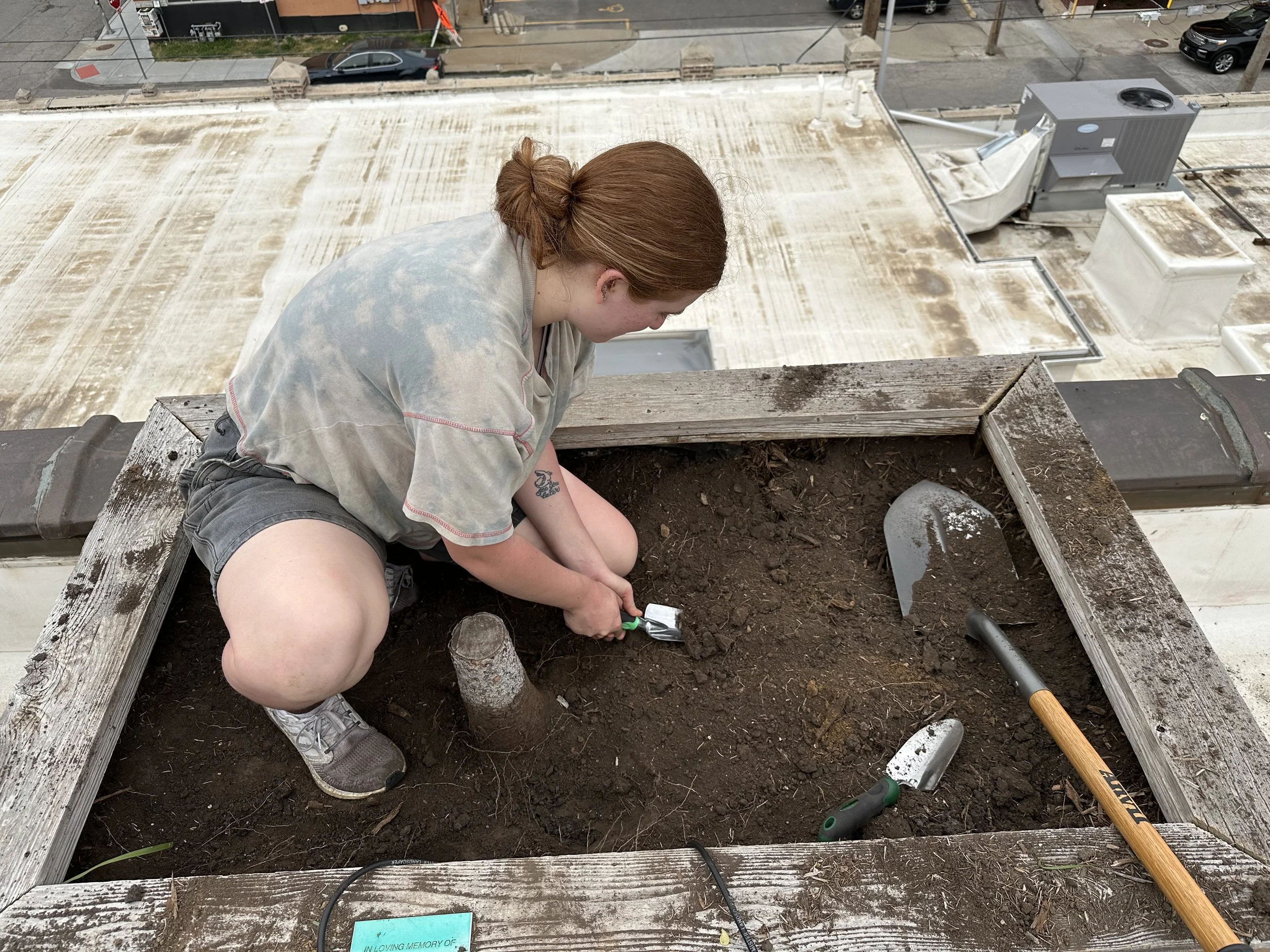 Robertson Law Group Rooftop Planter Soil Prep