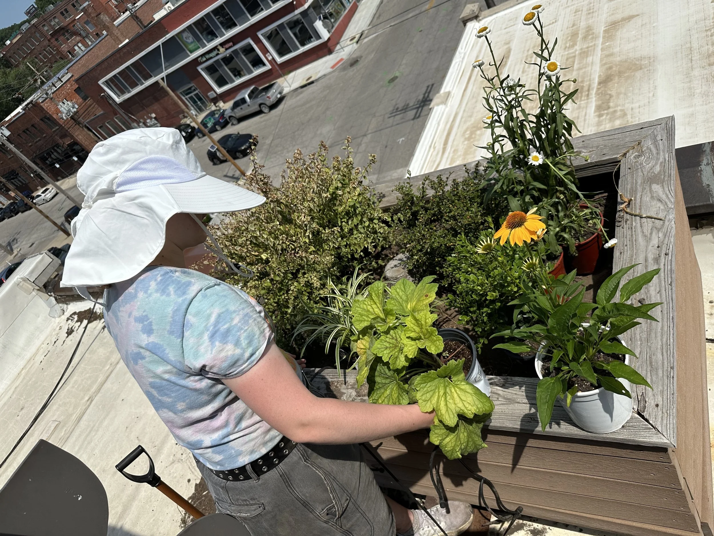 Robertson Law Group Rooftop Planter (left) Design and Placement