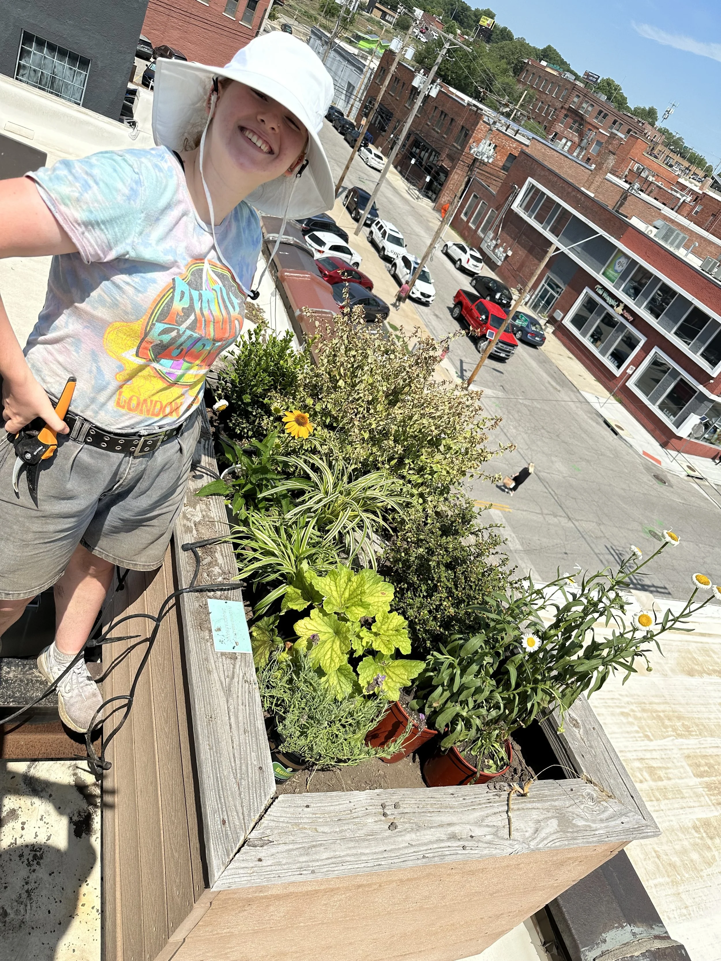 Robertson Law Group Rooftop Planter (left) Placement and Design