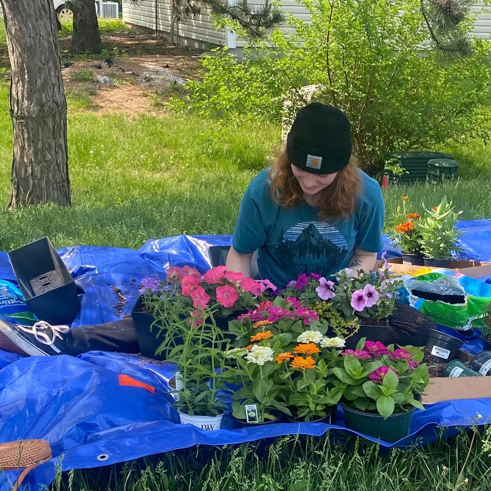 Blackdog Coffeehouse Outdoor Planters