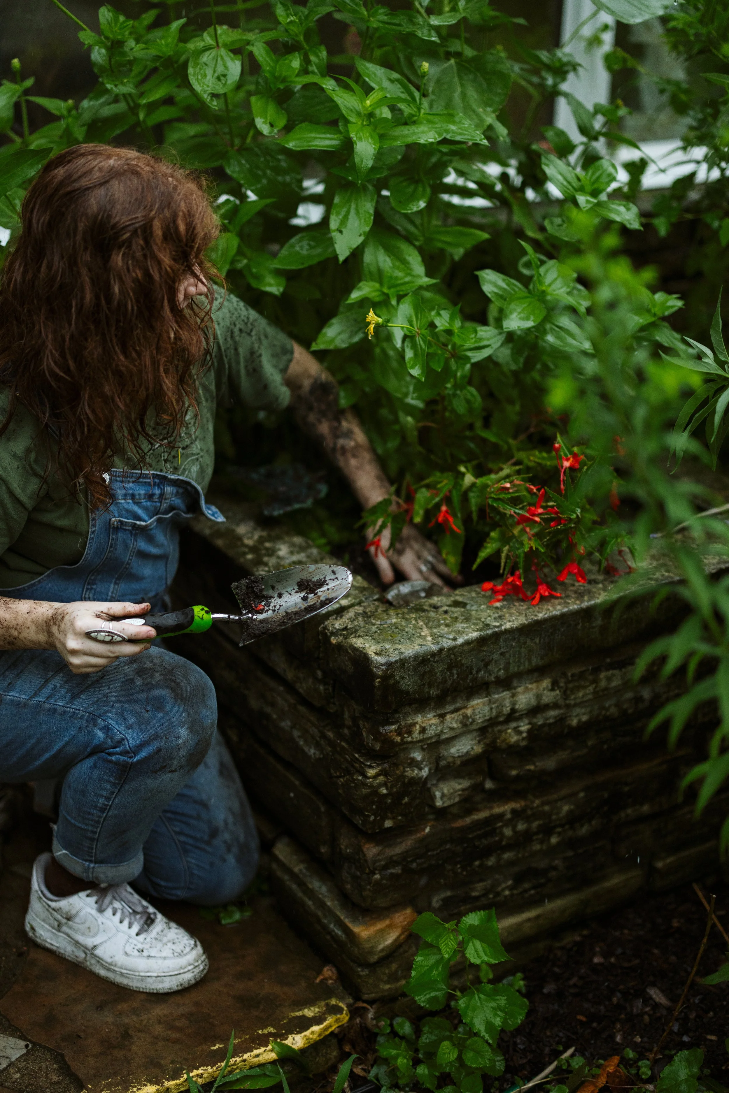 Plants on a shelf with books