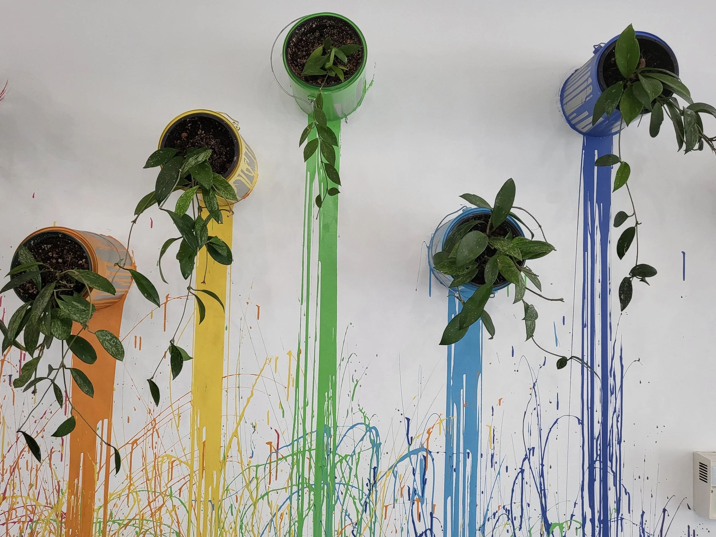 Hoya Paint Cans at With Love Salon