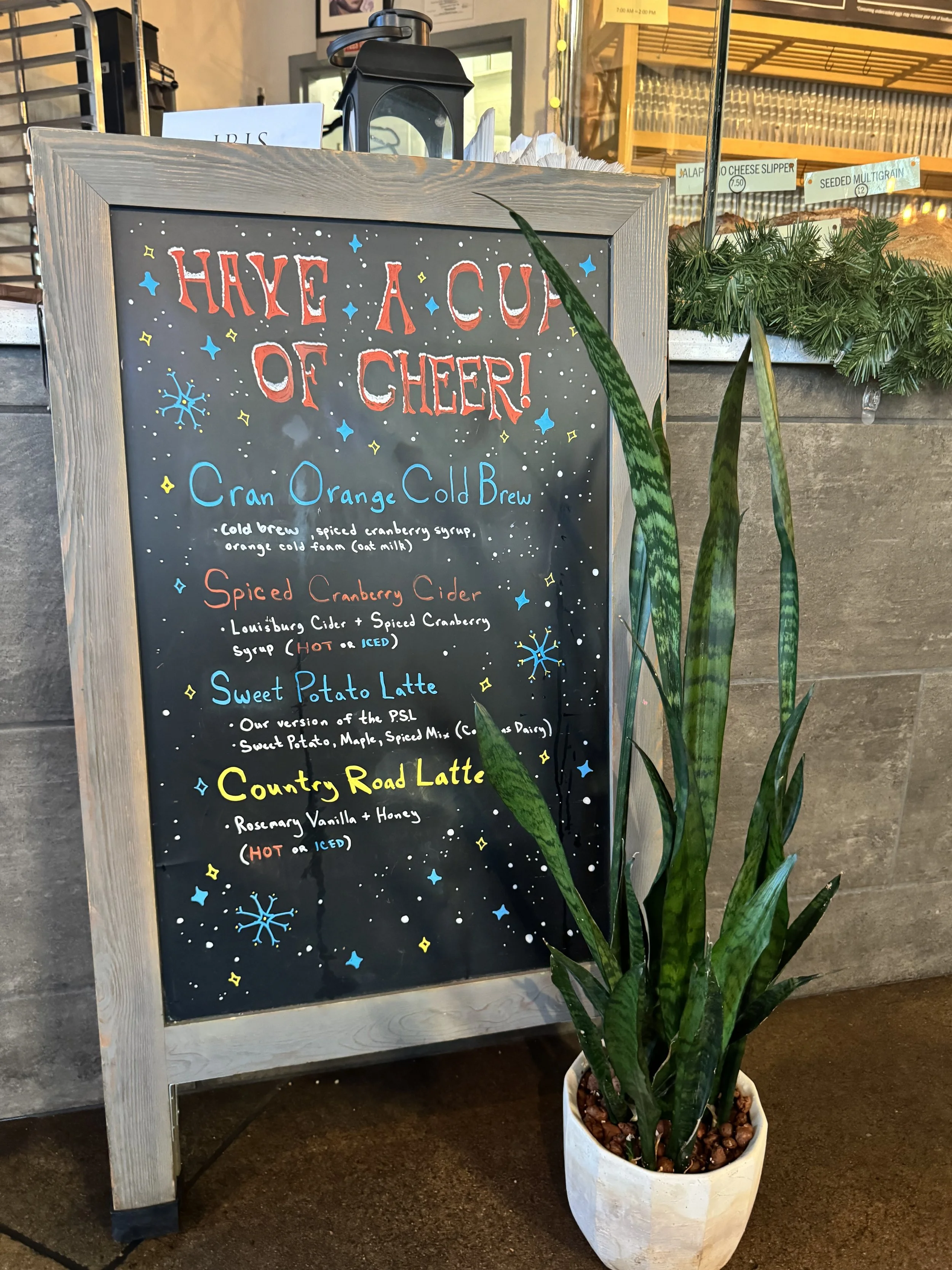 Blackdog Interior Plant Design