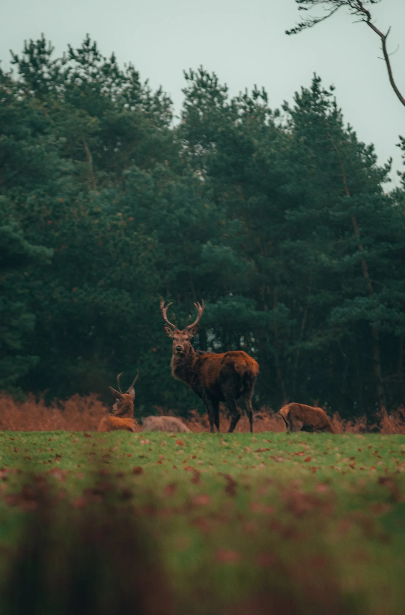 Website Selection - Photography by Yusef Bastawy-175.jpg