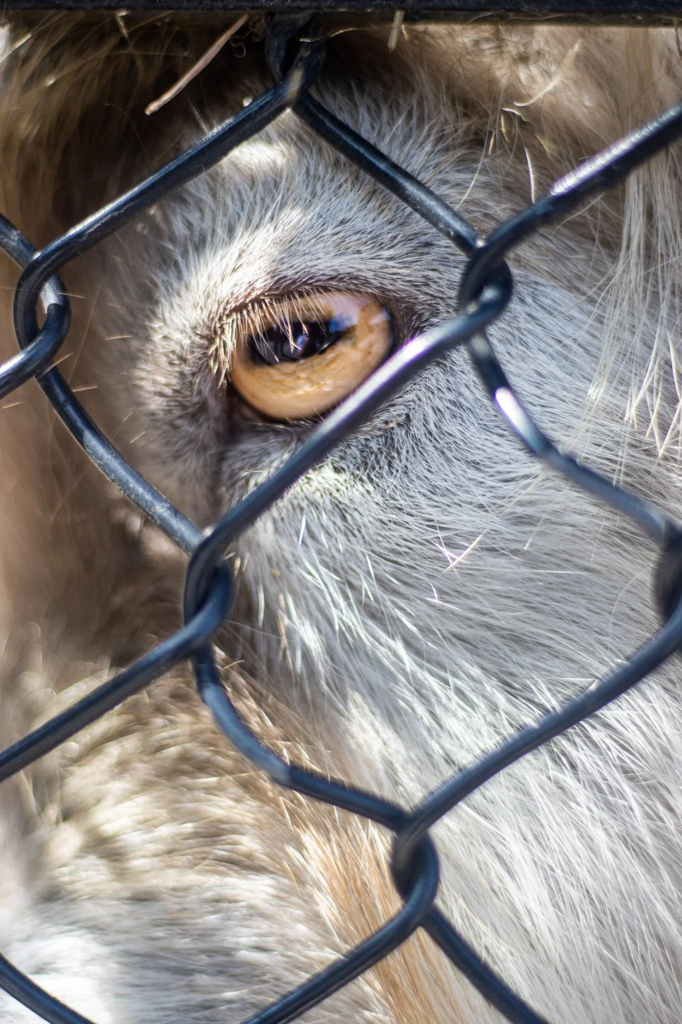 Website Selection - Photography by Yusef Bastawy-052.jpg