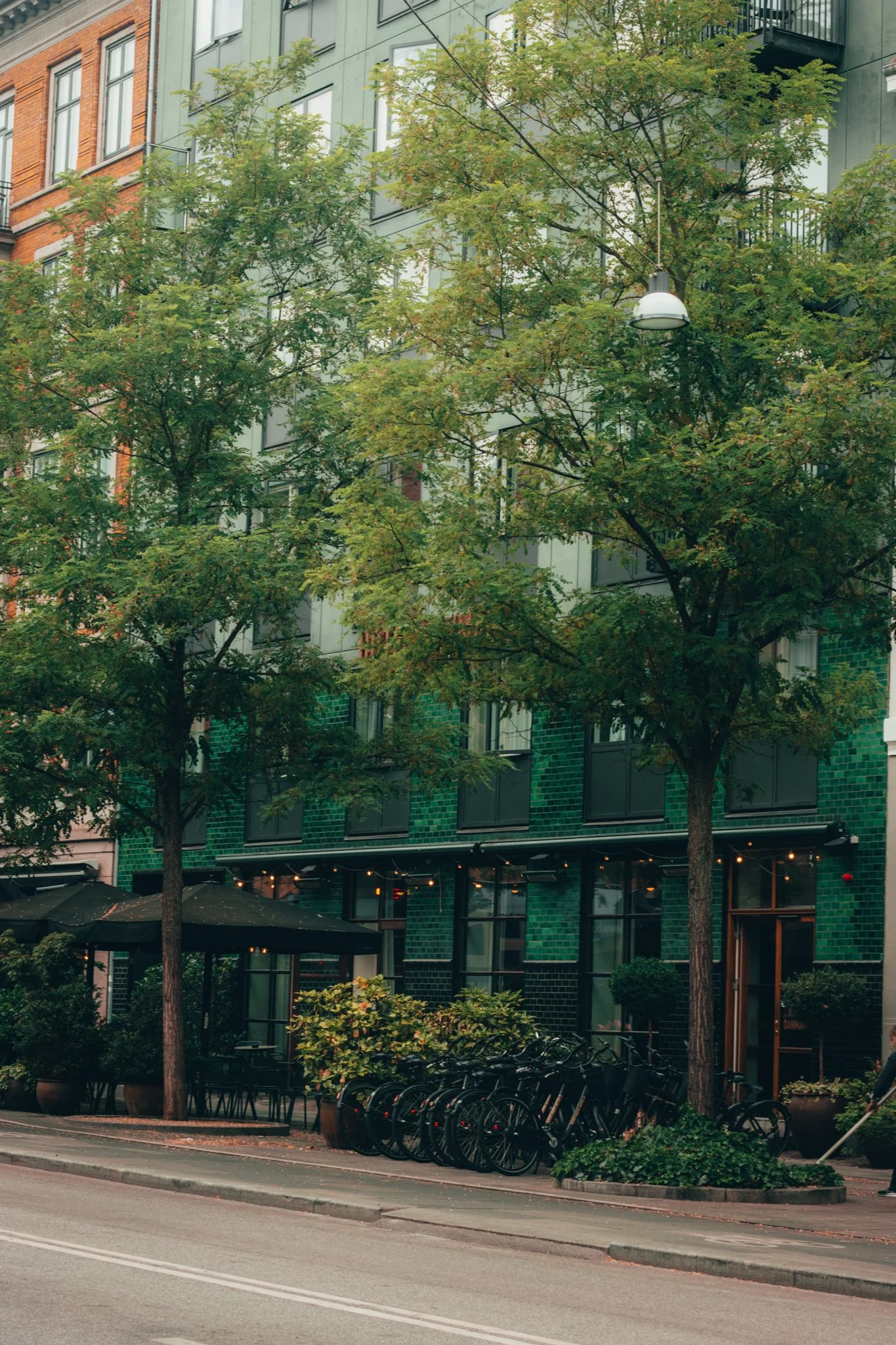 Website Selection - Photography by Yusef Bastawy-069.jpg