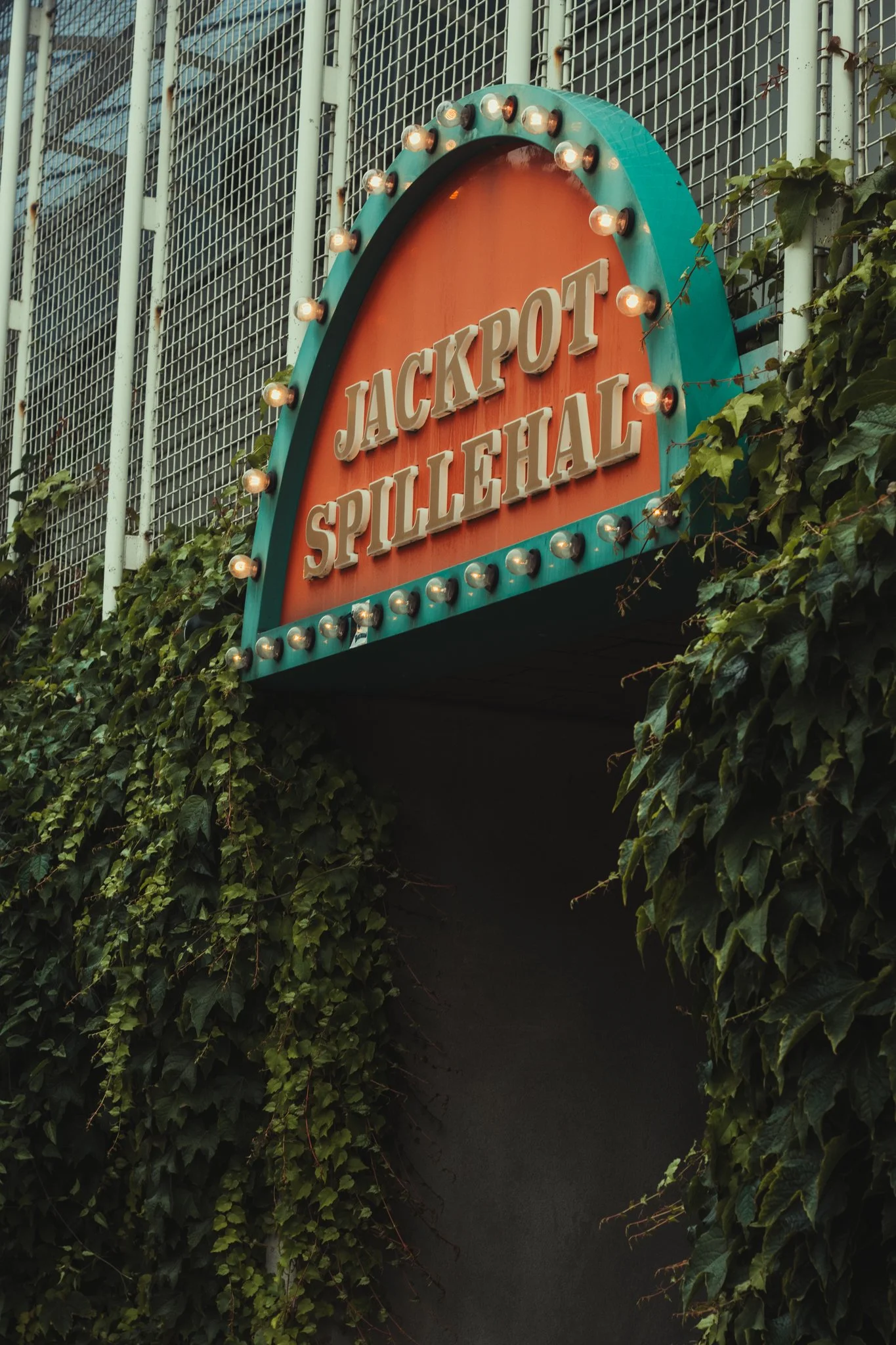 Website Selection - Photography by Yusef Bastawy-065.jpg