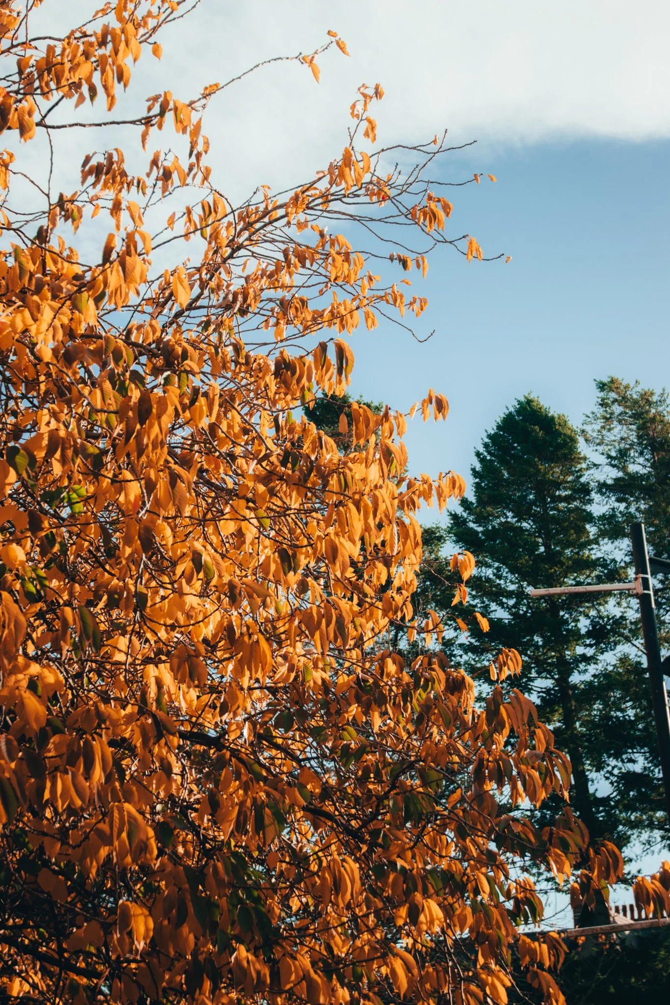 Website Selection - Photography by Yusef Bastawy-192.jpg