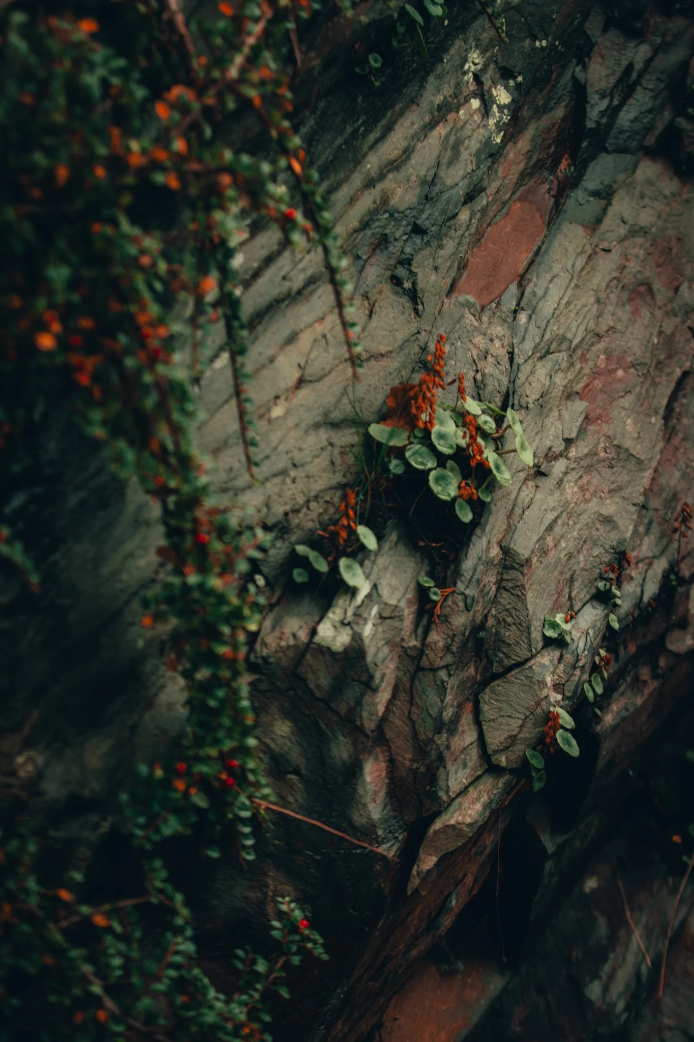 Website Selection - Photography by Yusef Bastawy-219.jpg