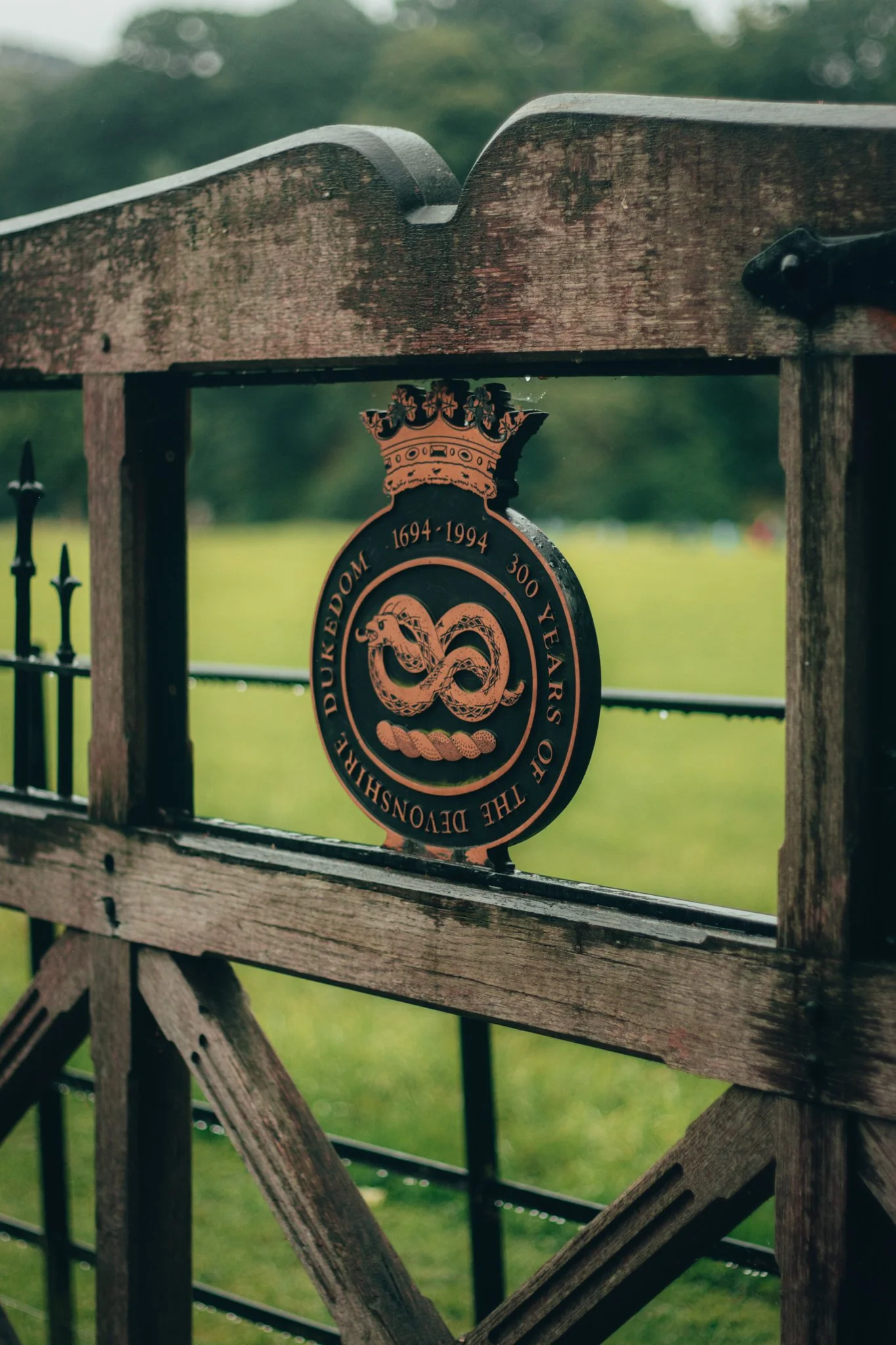 Website Selection - Photography by Yusef Bastawy-049.jpg