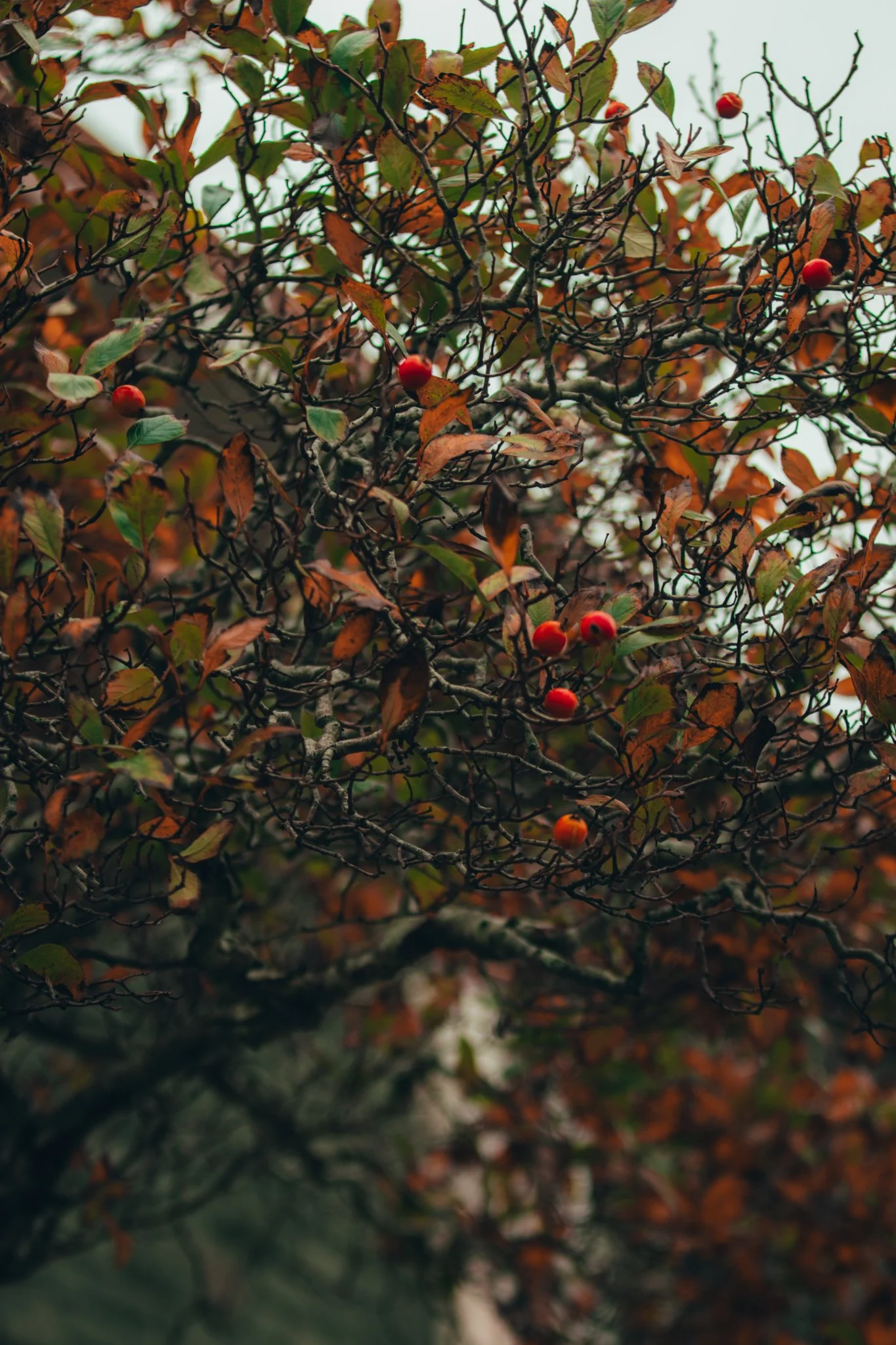 Website Selection - Photography by Yusef Bastawy-216.jpg