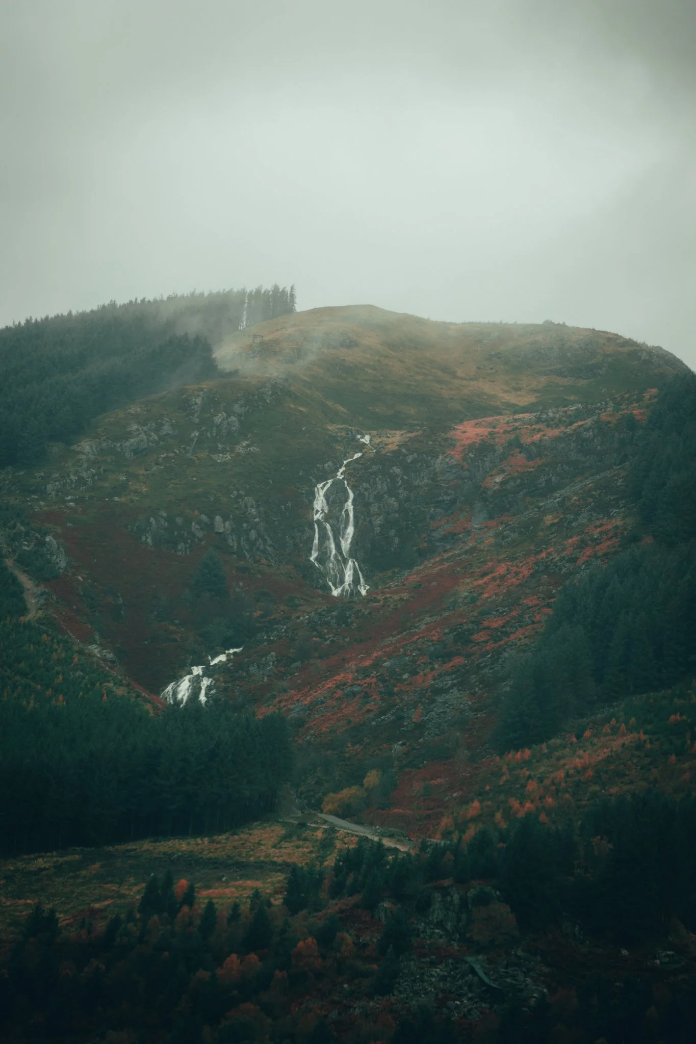 Website Selection - Photography by Yusef Bastawy-220.jpg