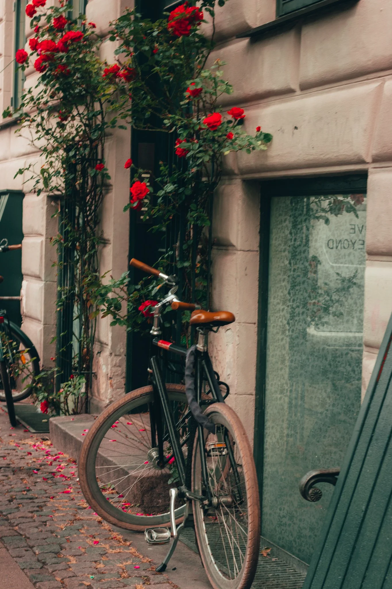 Website Selection - Photography by Yusef Bastawy-080.jpg