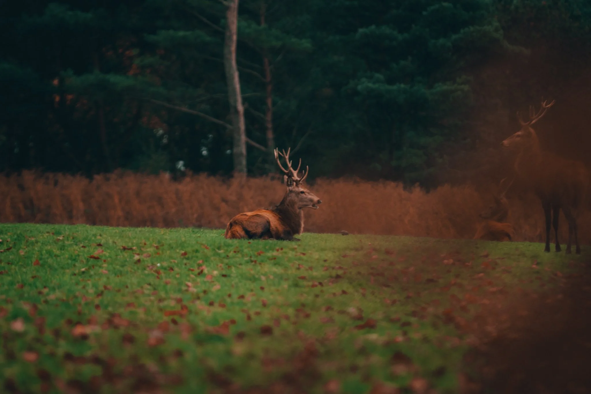 Website Selection - Photography by Yusef Bastawy-176.jpg