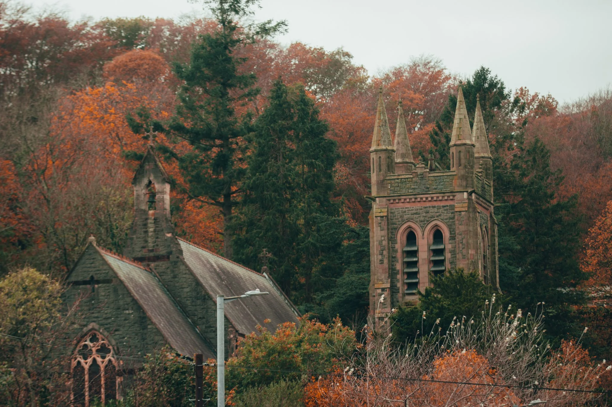 Website Selection - Photography by Yusef Bastawy-218.jpg