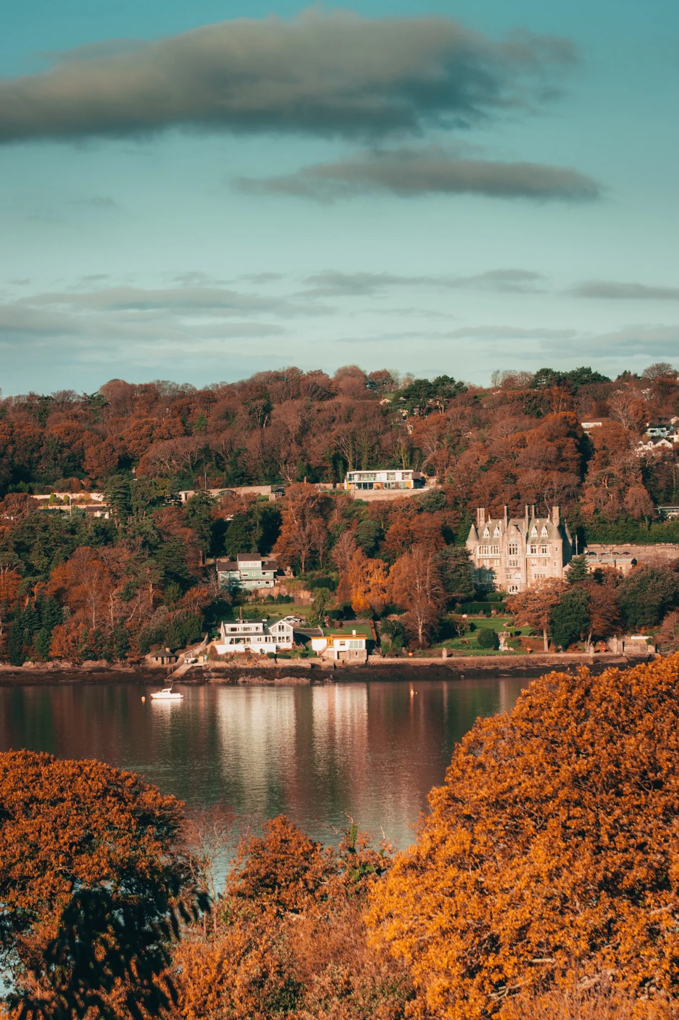 Website Selection - Photography by Yusef Bastawy-208.jpg