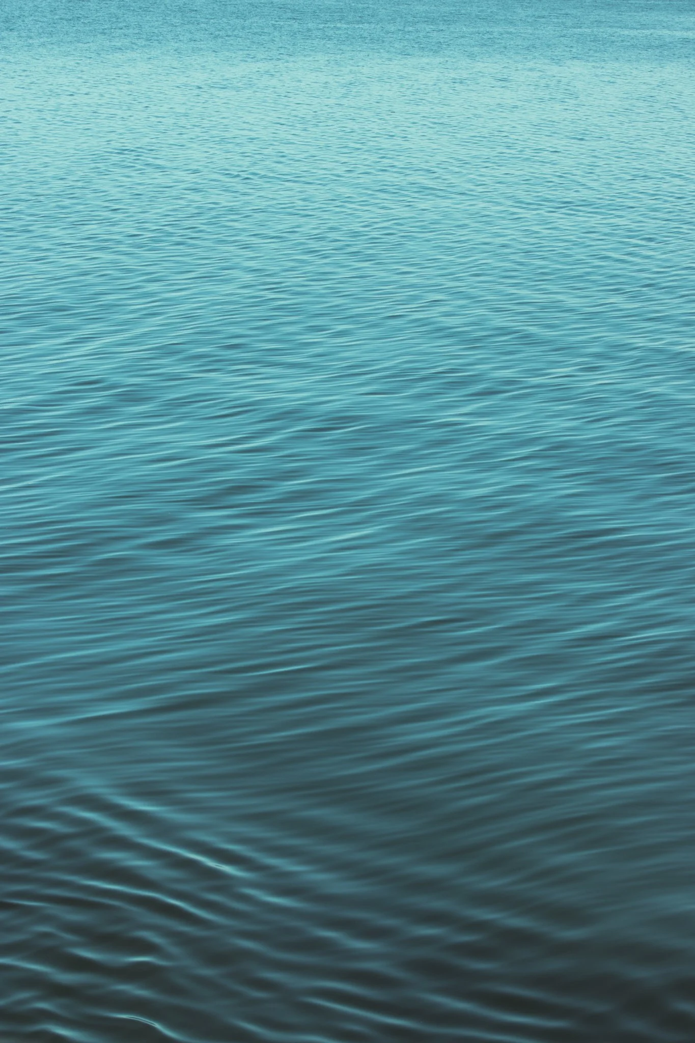 Website Selection - Photography by Yusef Bastawy-206.jpg