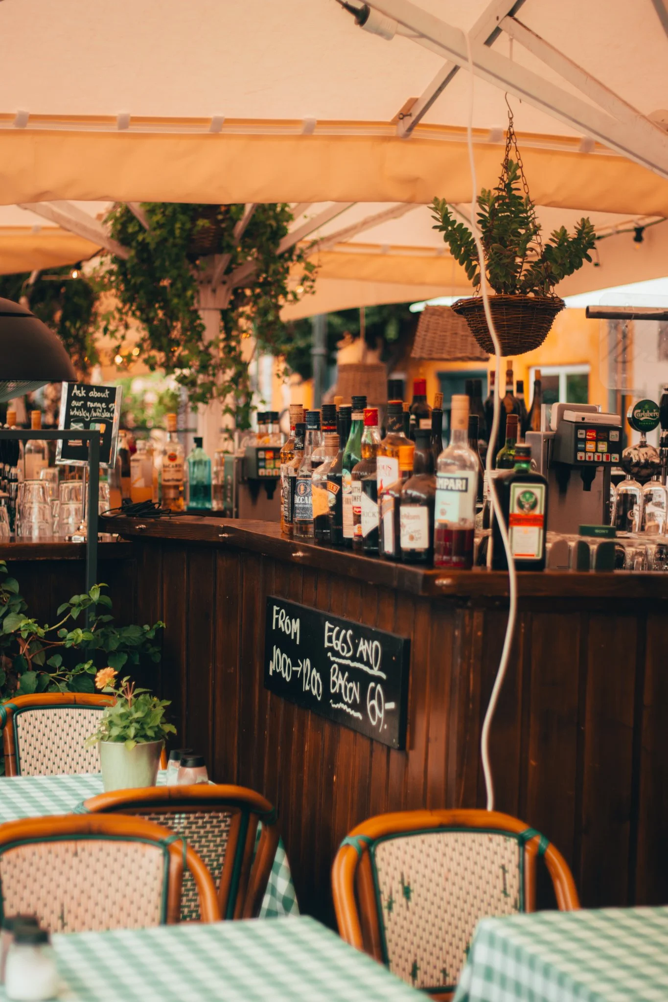 Website Selection - Photography by Yusef Bastawy-075.jpg