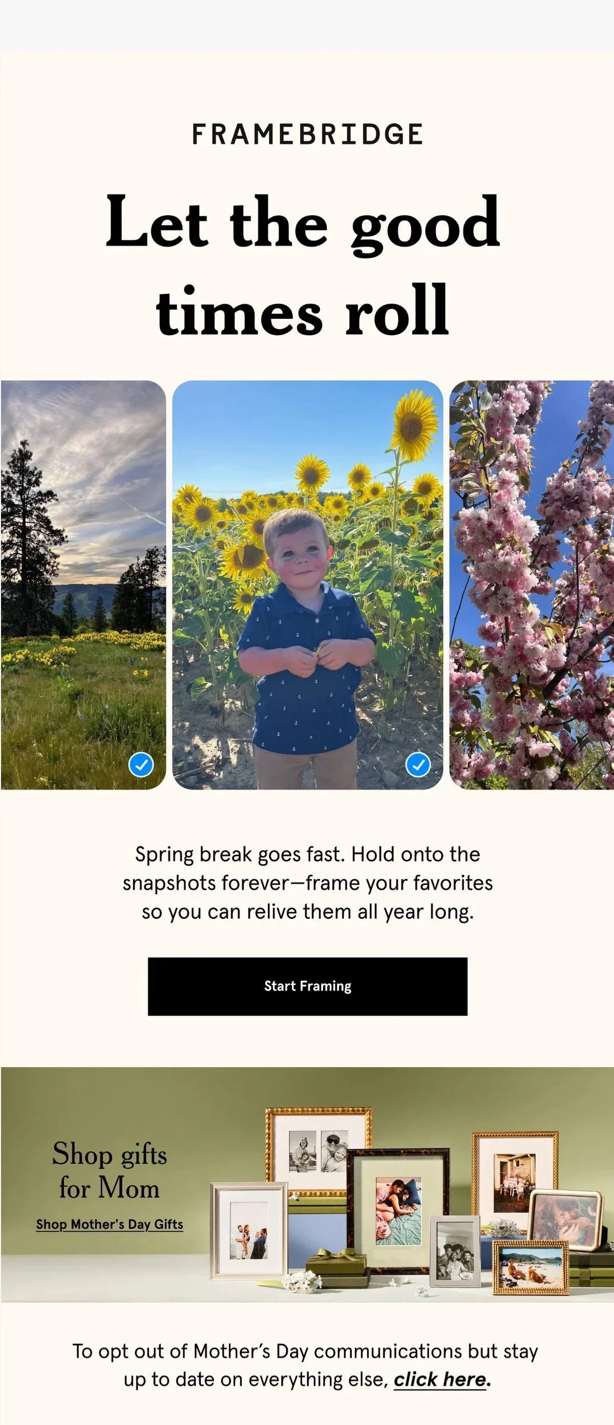 Framebridge+-+2026-04-28+-+Spring+Break+forever+%E2%98%80%EF%B8%8F.jpg