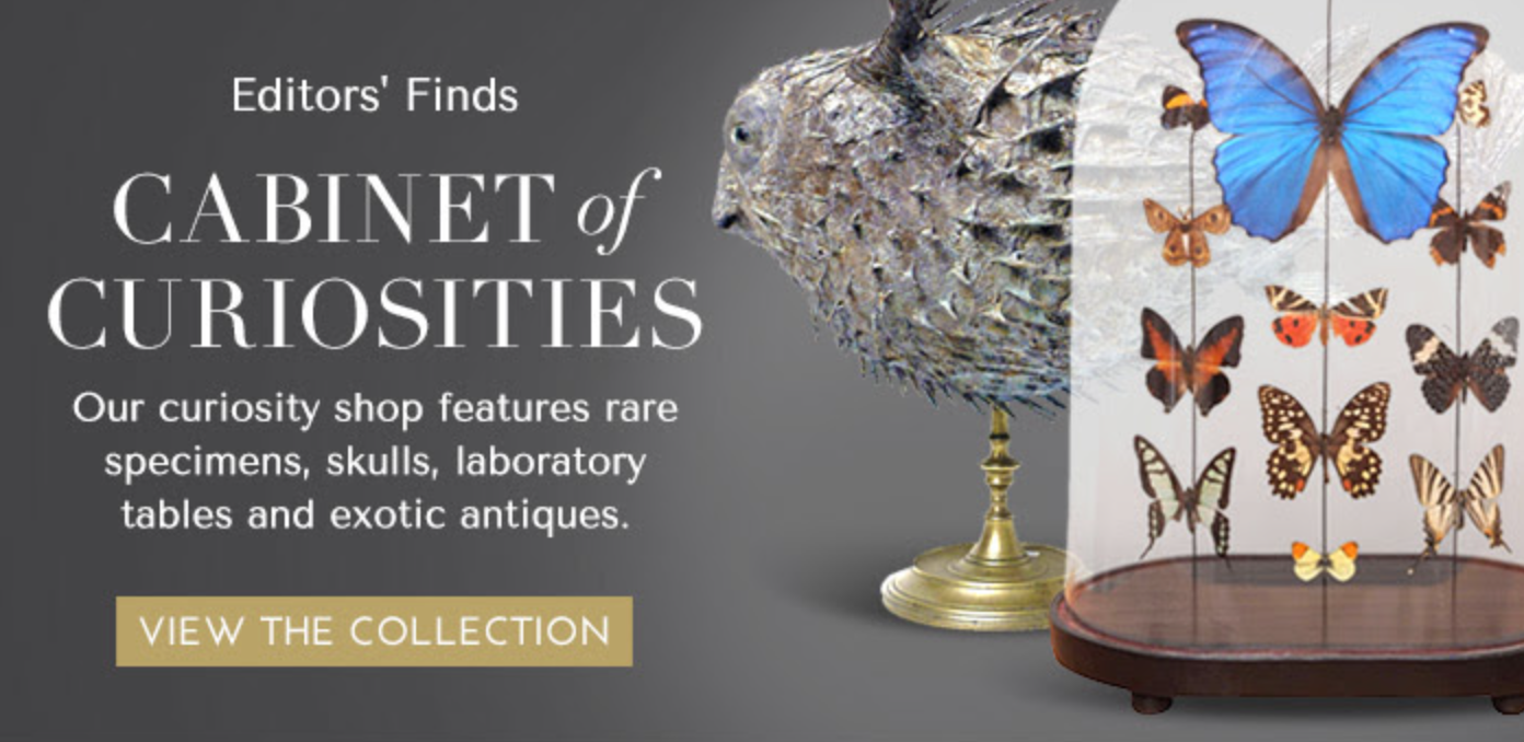 cabinet of curiosities