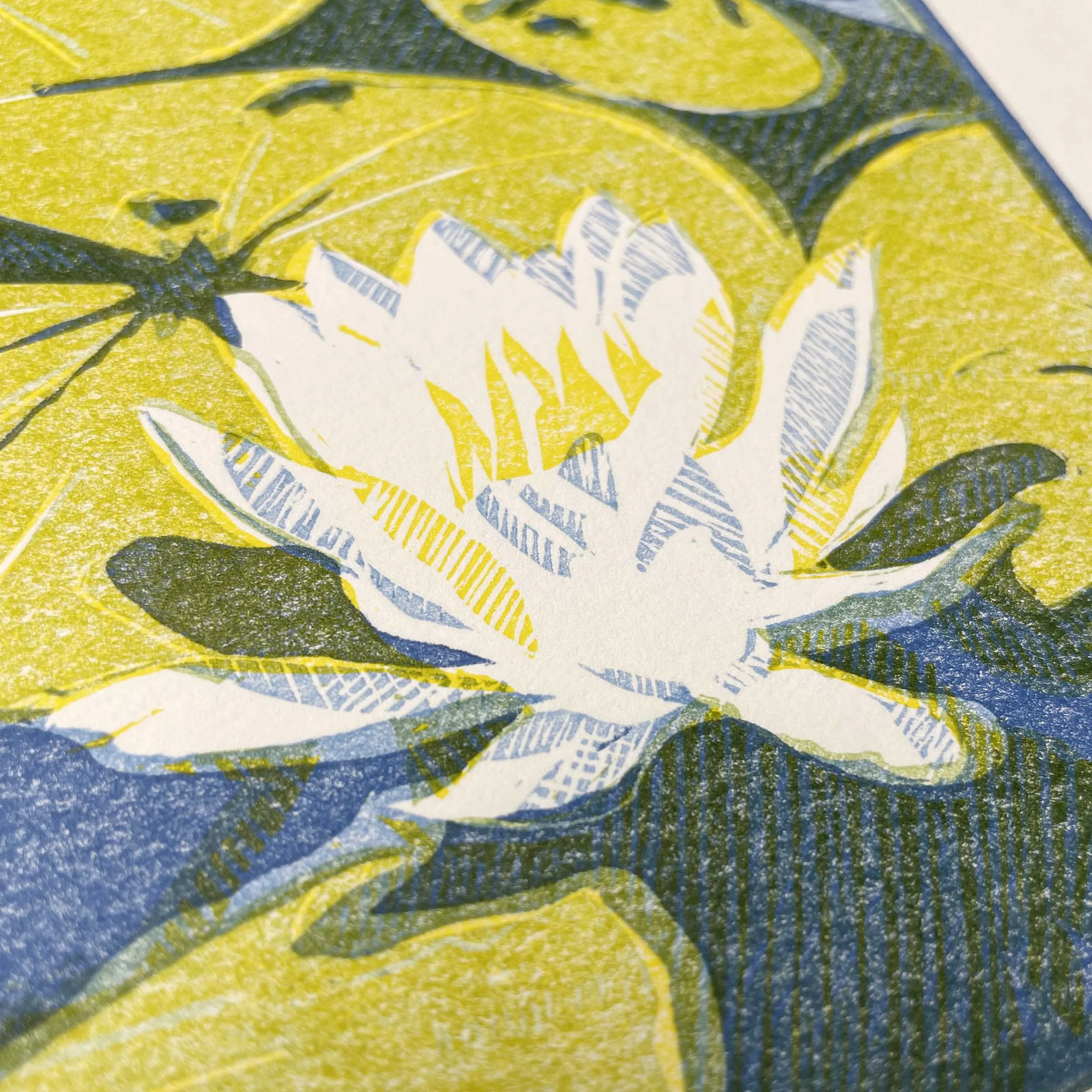 mirror-lake-lily-linocut-closeup.jpg