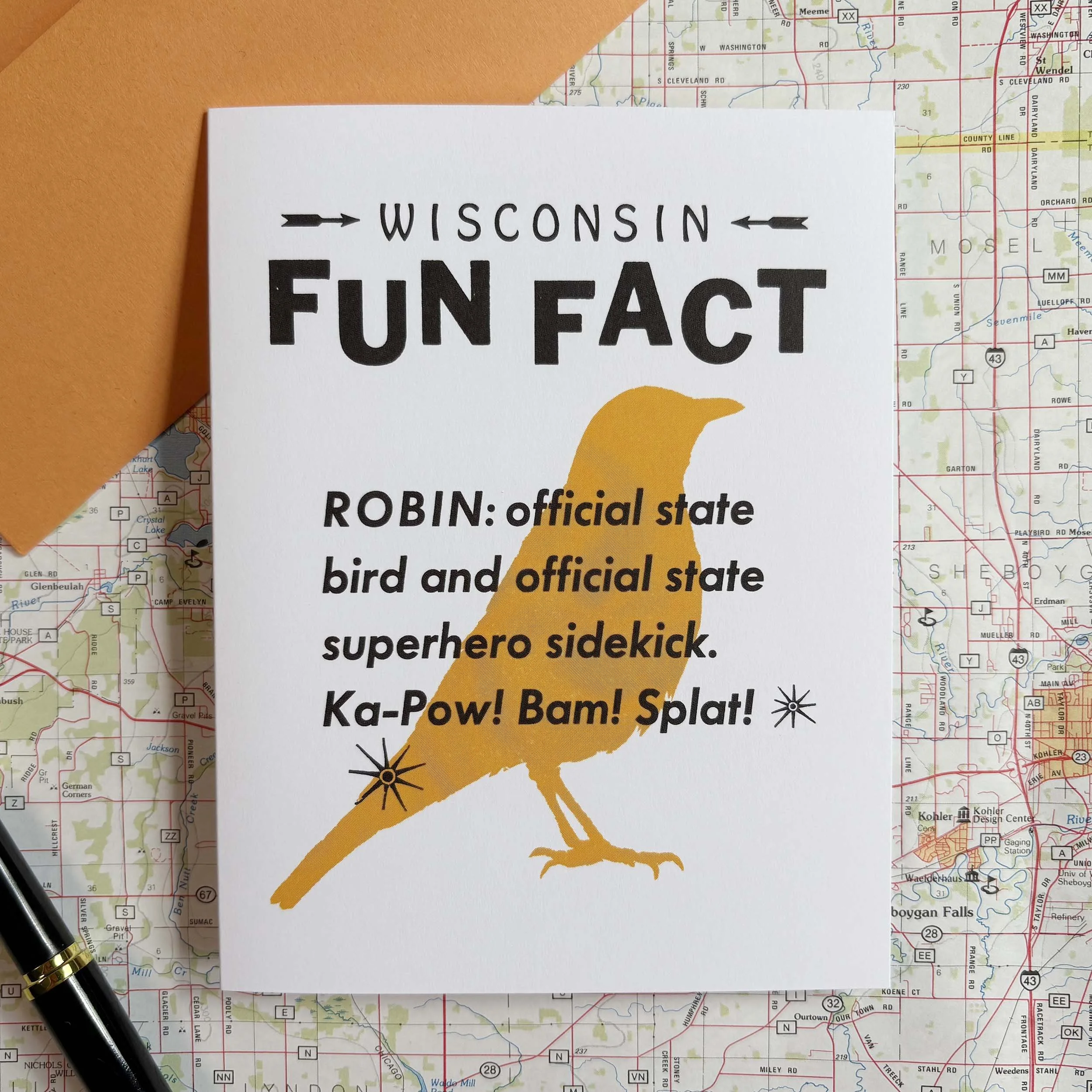 Funny Wisconsin Robin Card