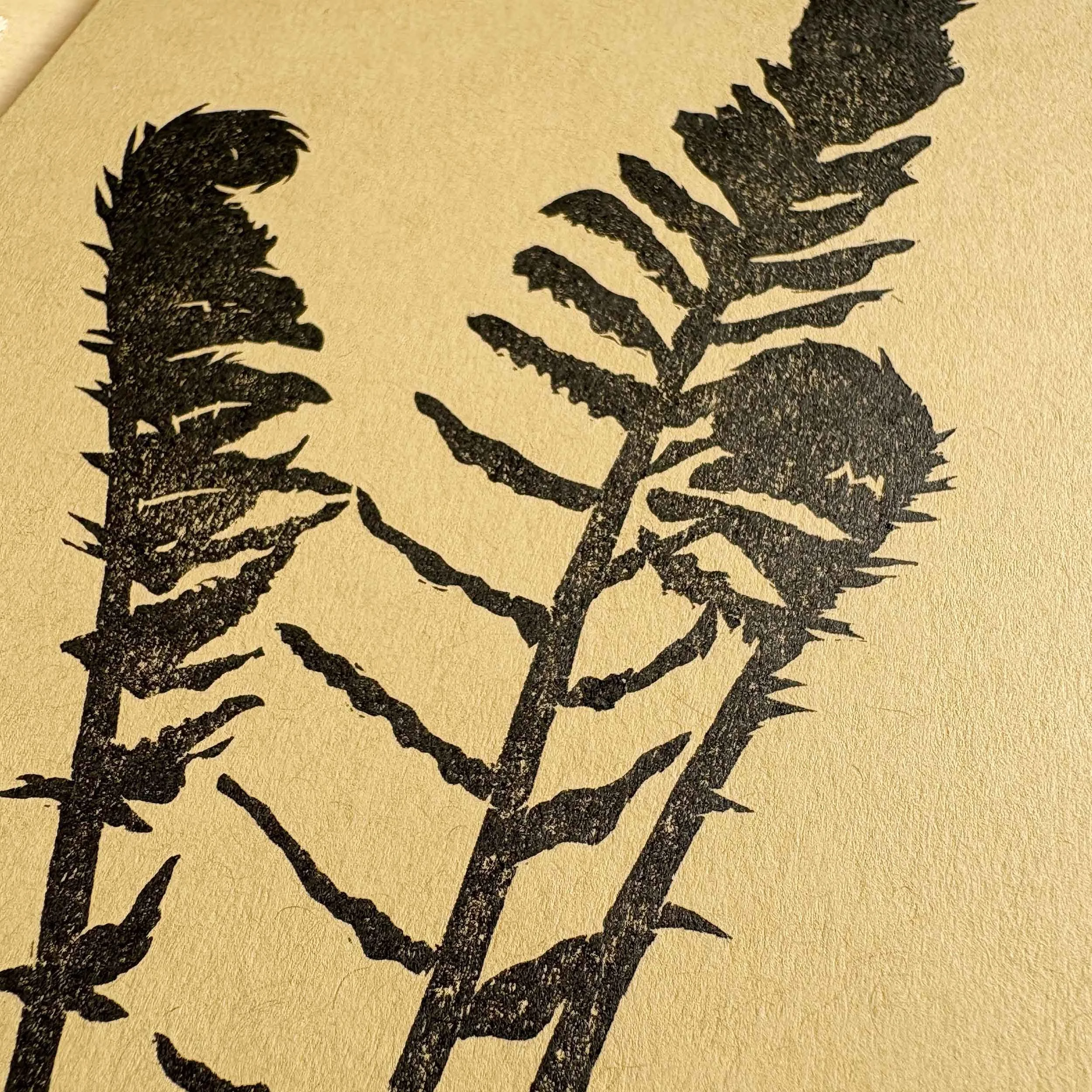 spring-ferns-linocut-letterpress-card-detail-2.jpg
