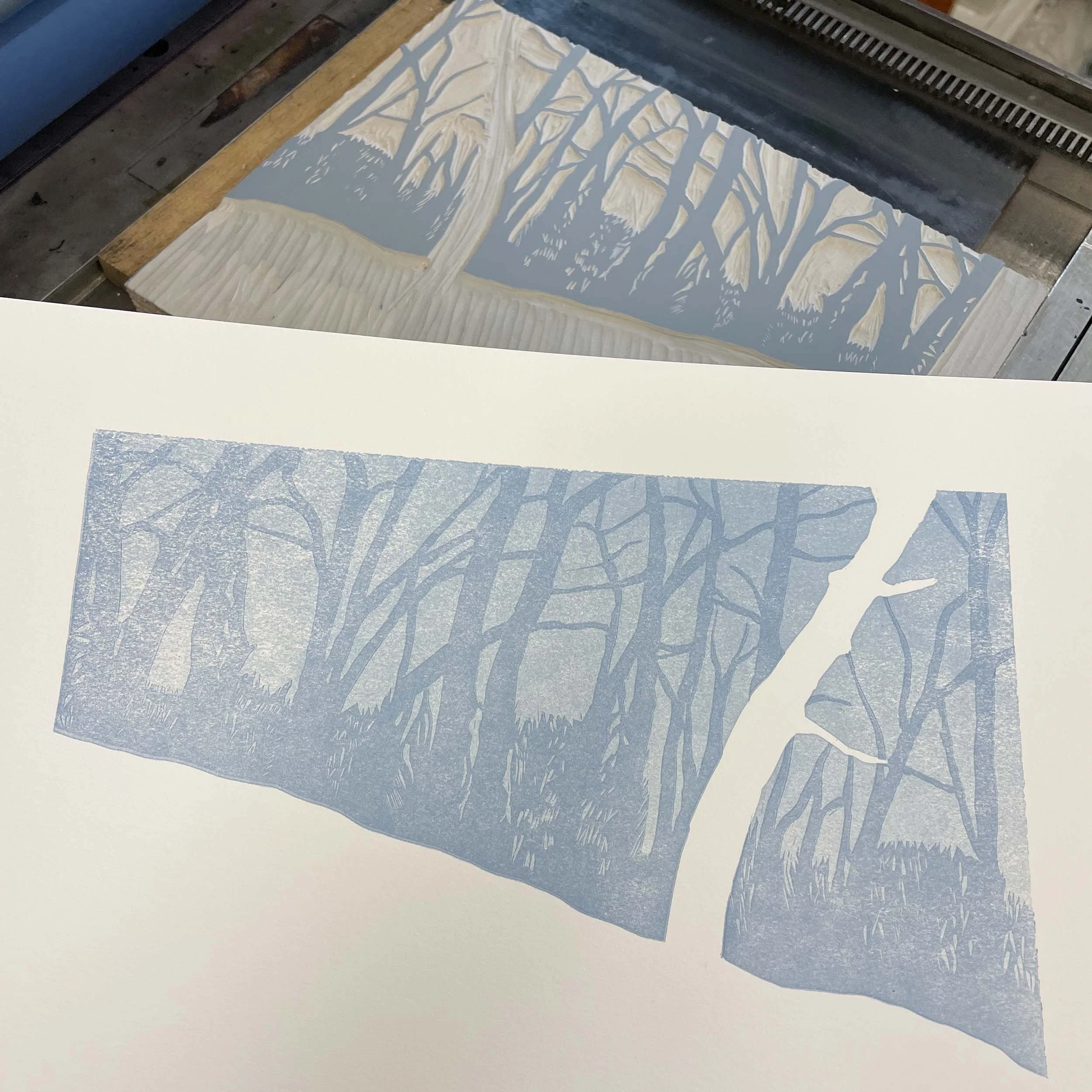 A sheet of white paper printed with two shades of blue ink as a sky and tree background with the negative white shape of a tree on the far right. The horizon line is angled, sloping to the right.