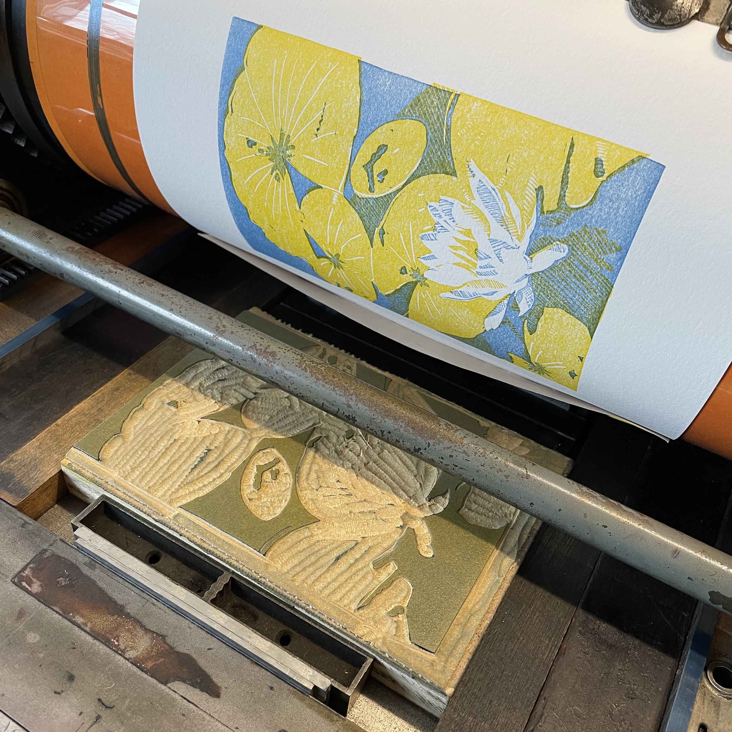 Mirror Lake Lily Linocut block 3 on press