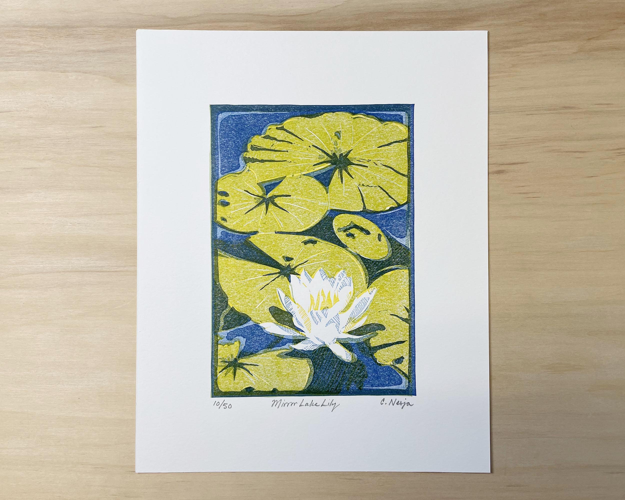 Mirror Lake Lily Art Print