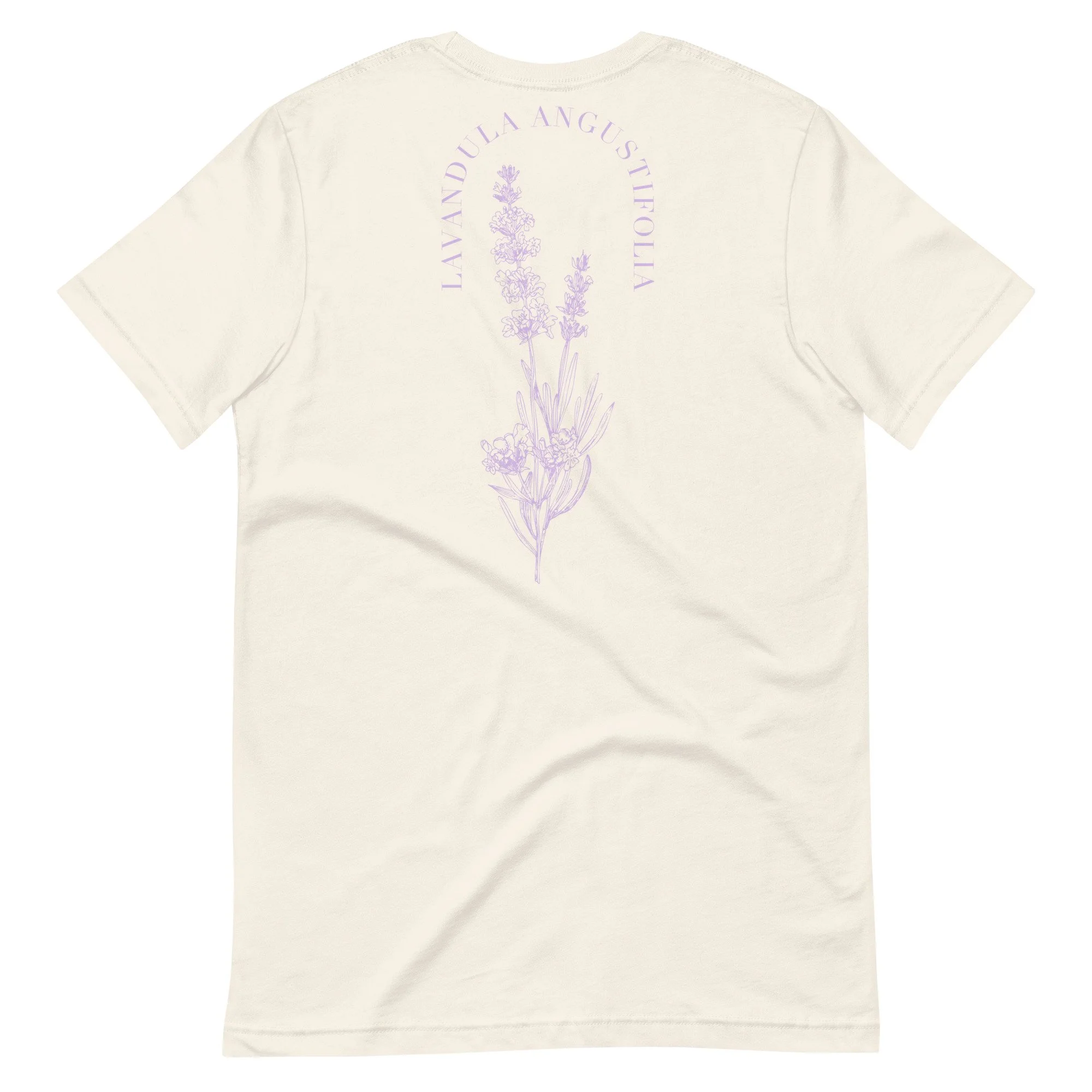 Lavandula 01 Back.jpg
