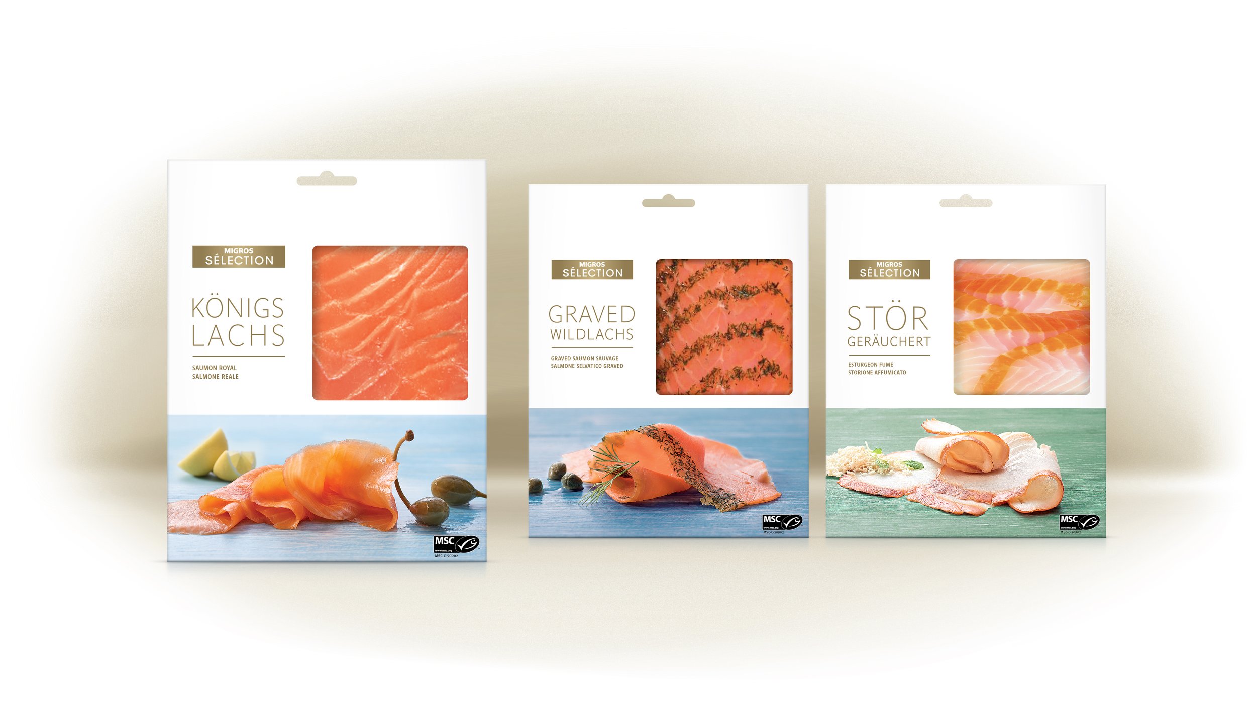 00 SelectionS_3Salmon.jpg