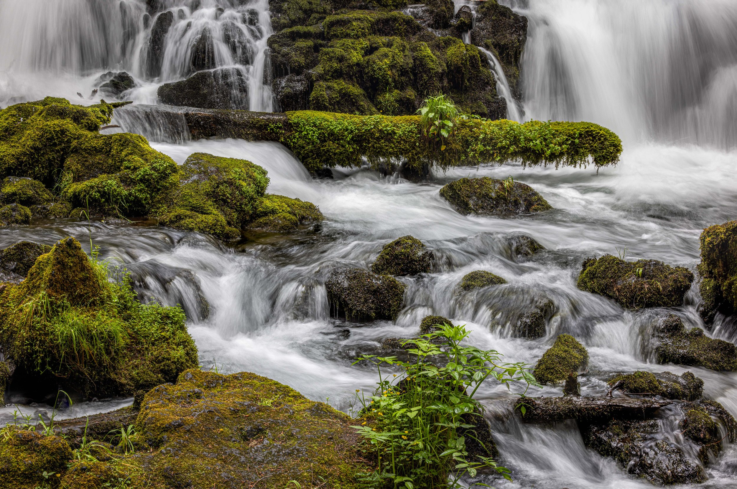9J4A9436-Edit.jpg