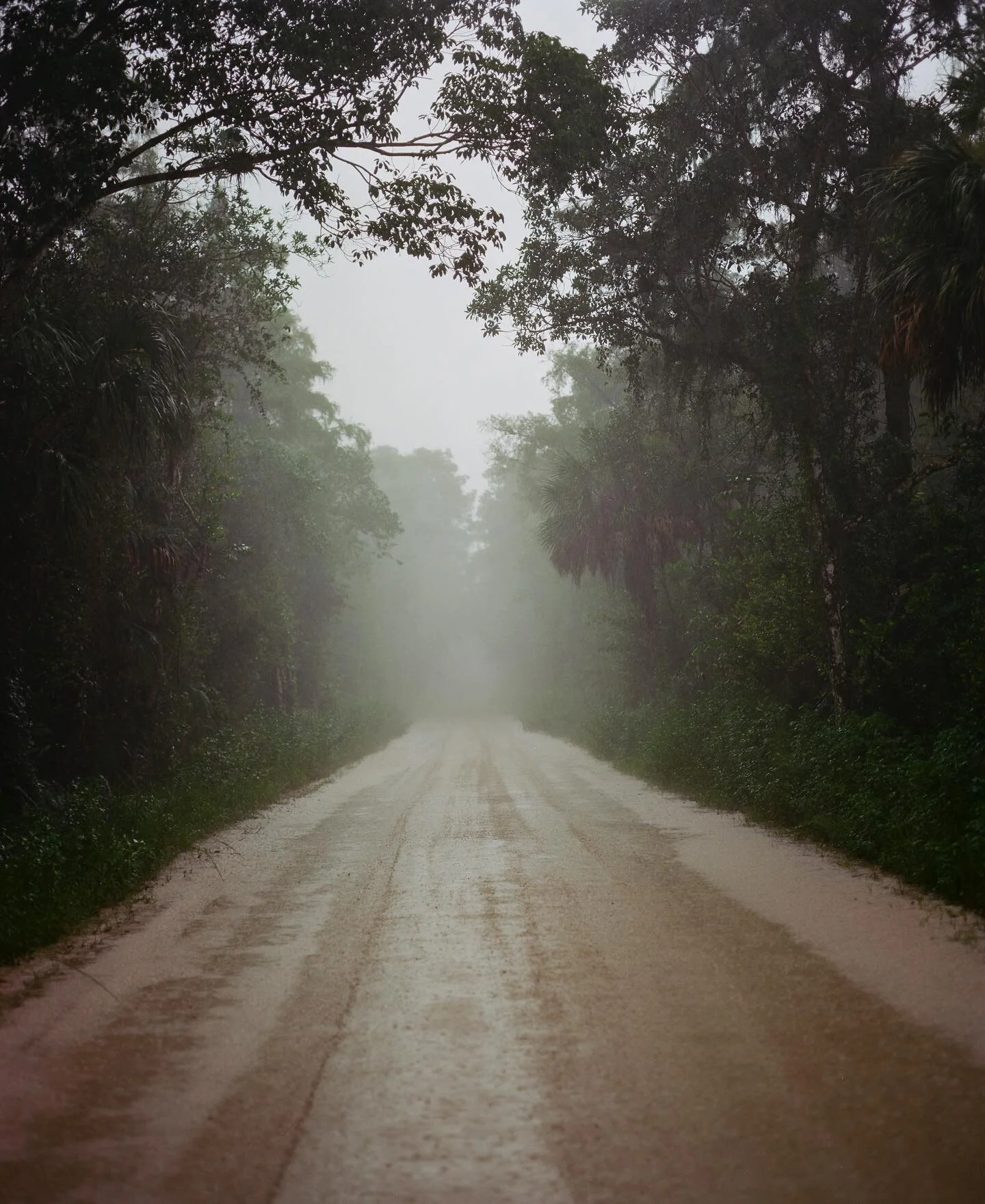 - Ever wet.

#Pentax67 #MediumFormat #Film