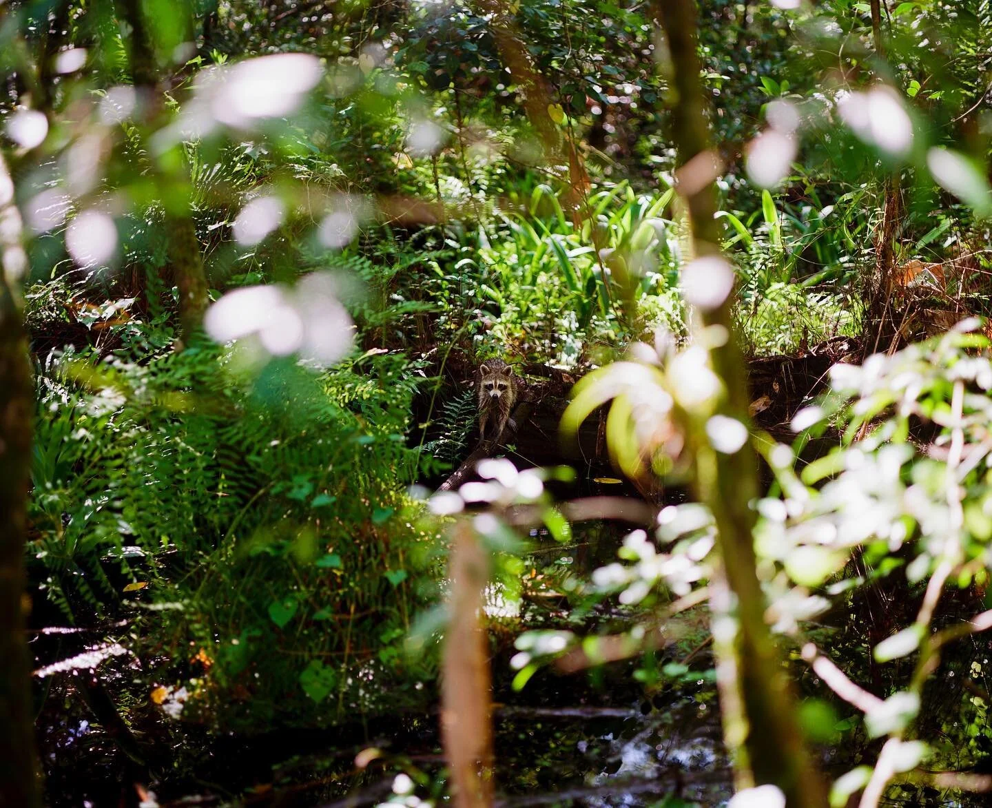 - Curiosity. 

#Pentax67 #MediumFormat #Film