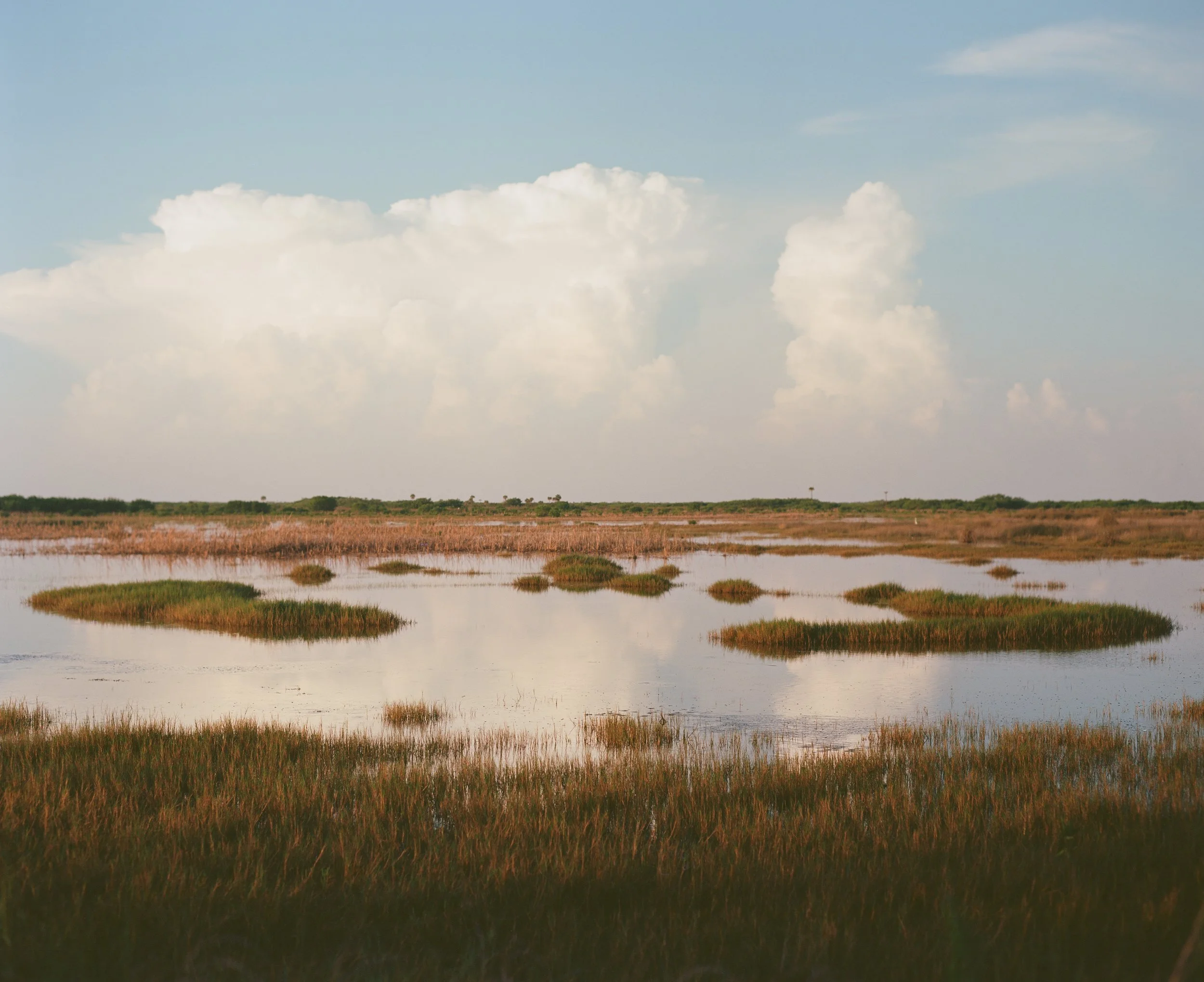 Morning in the Florida Everglades film photography by conservationist Ash Dudney