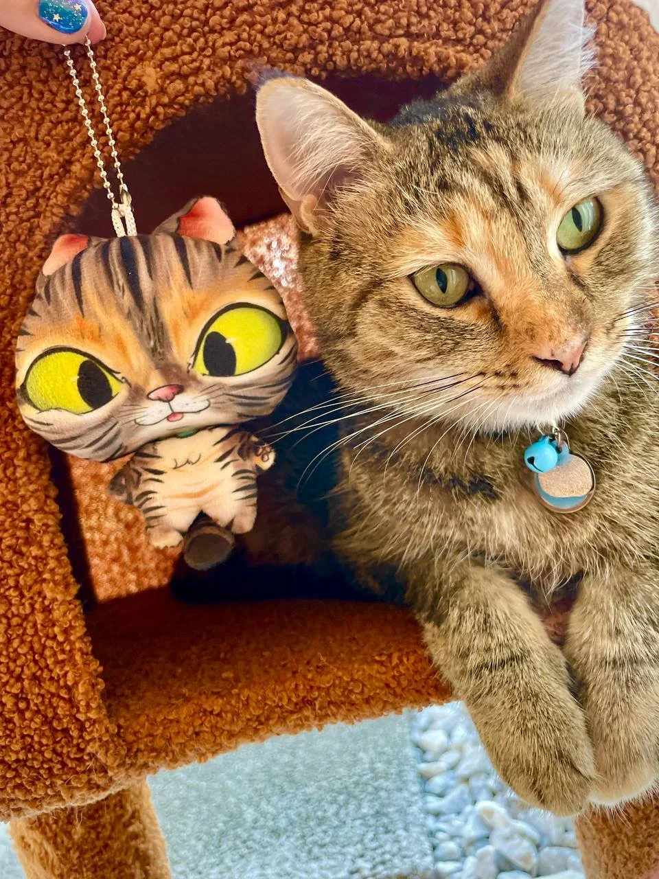 photo_2025-11-26 19.41.21.jpeg